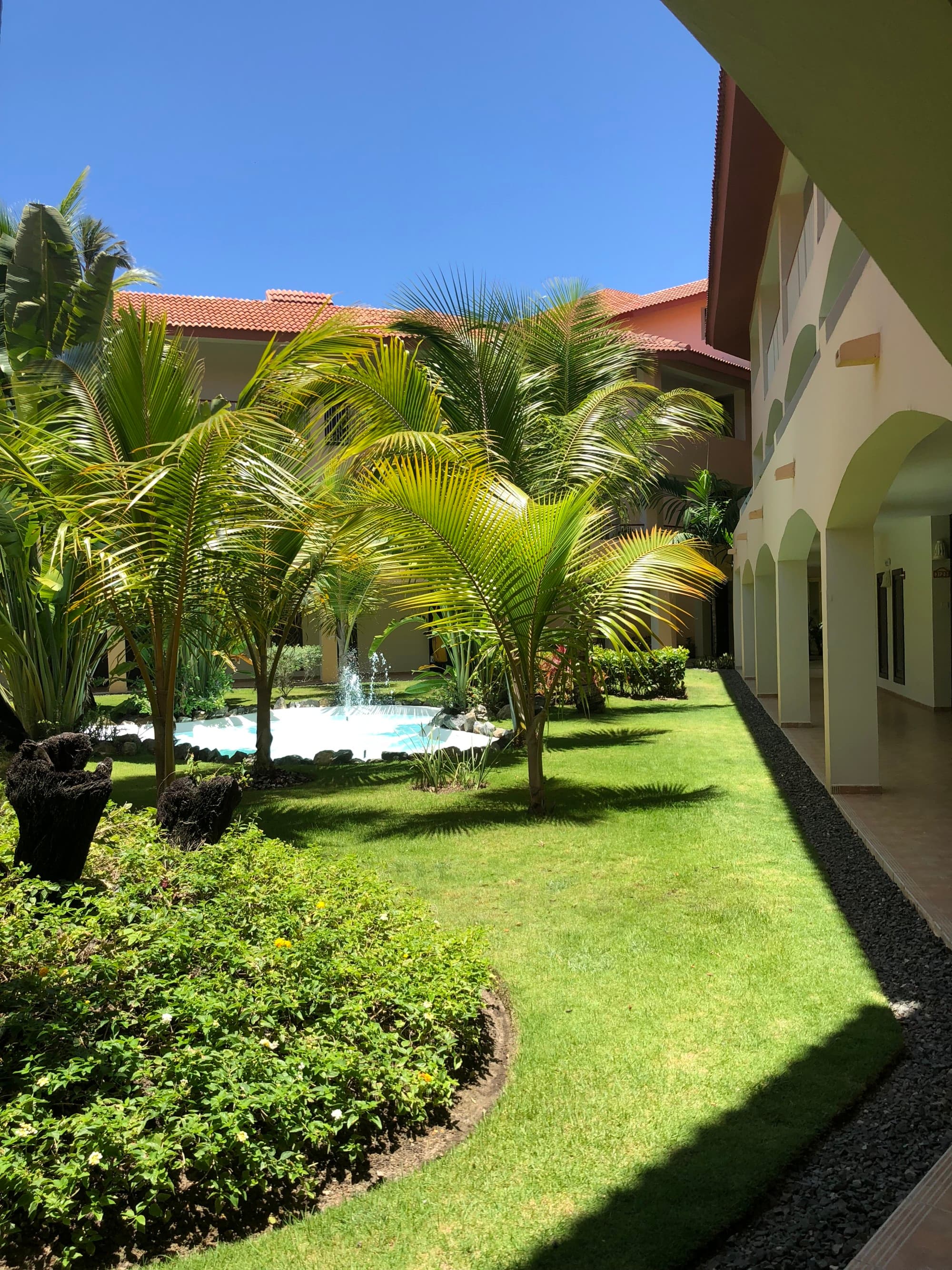 A view of a courtyard with bushes, grass and palm trees. There is an arched path on the right of the image.
