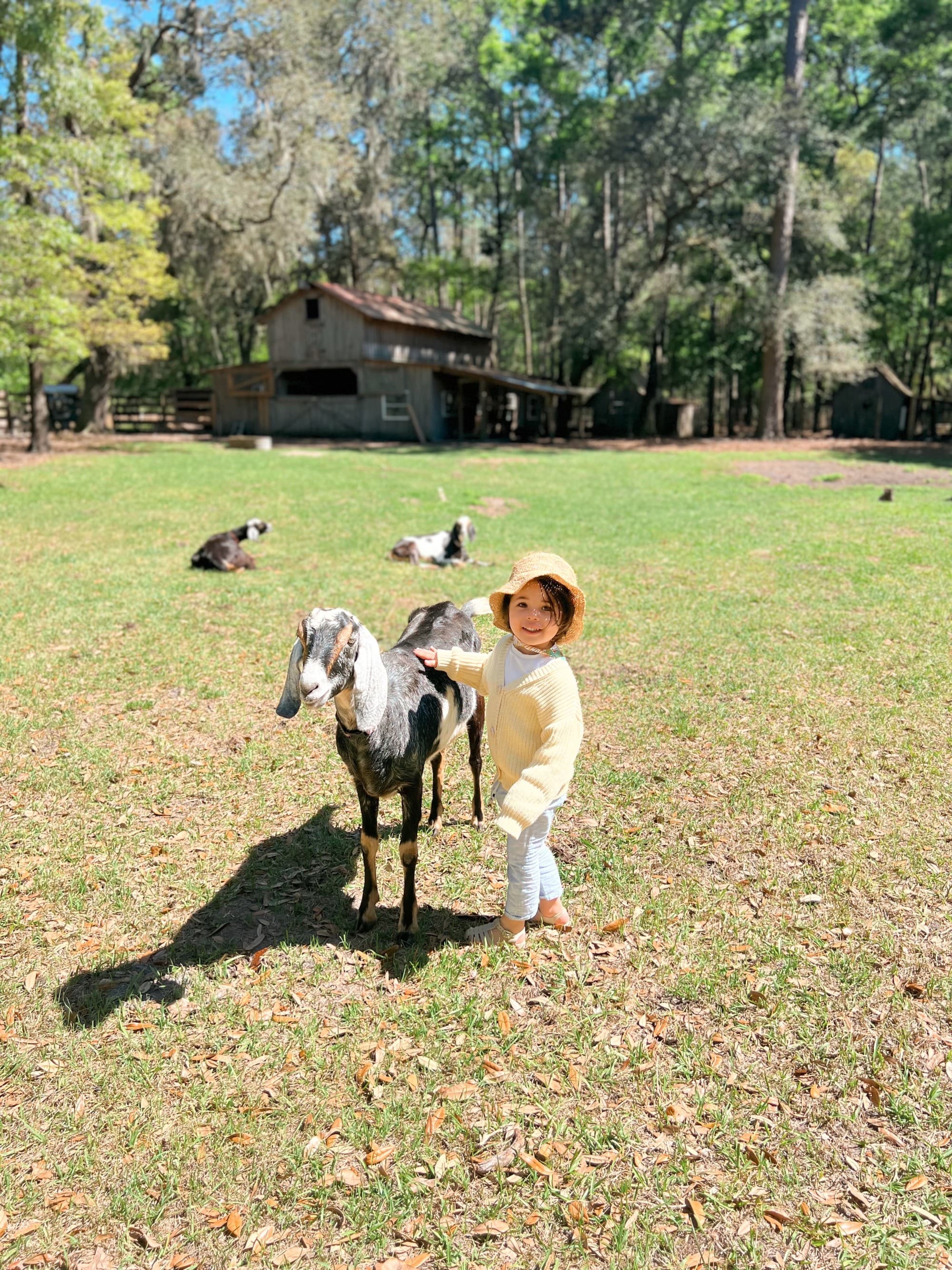 farm on dafuski island - Paloma Lopes