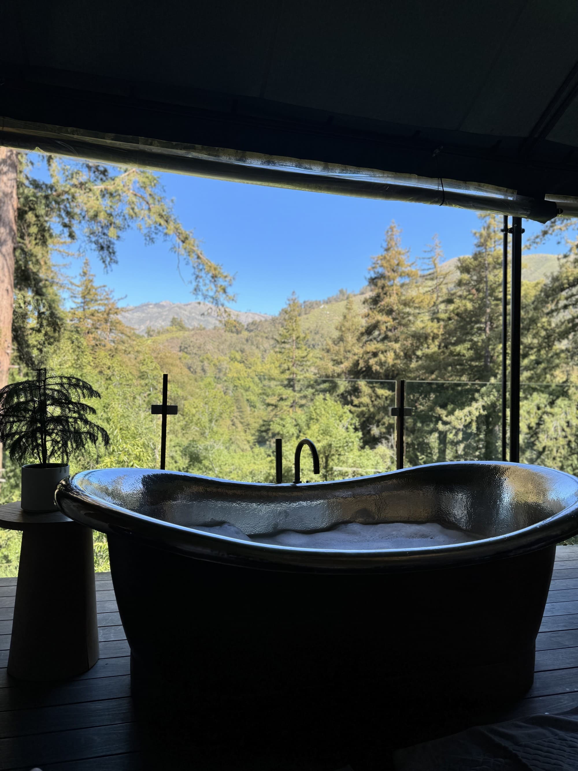 A bathtub next to a large window overlooking pine trees.