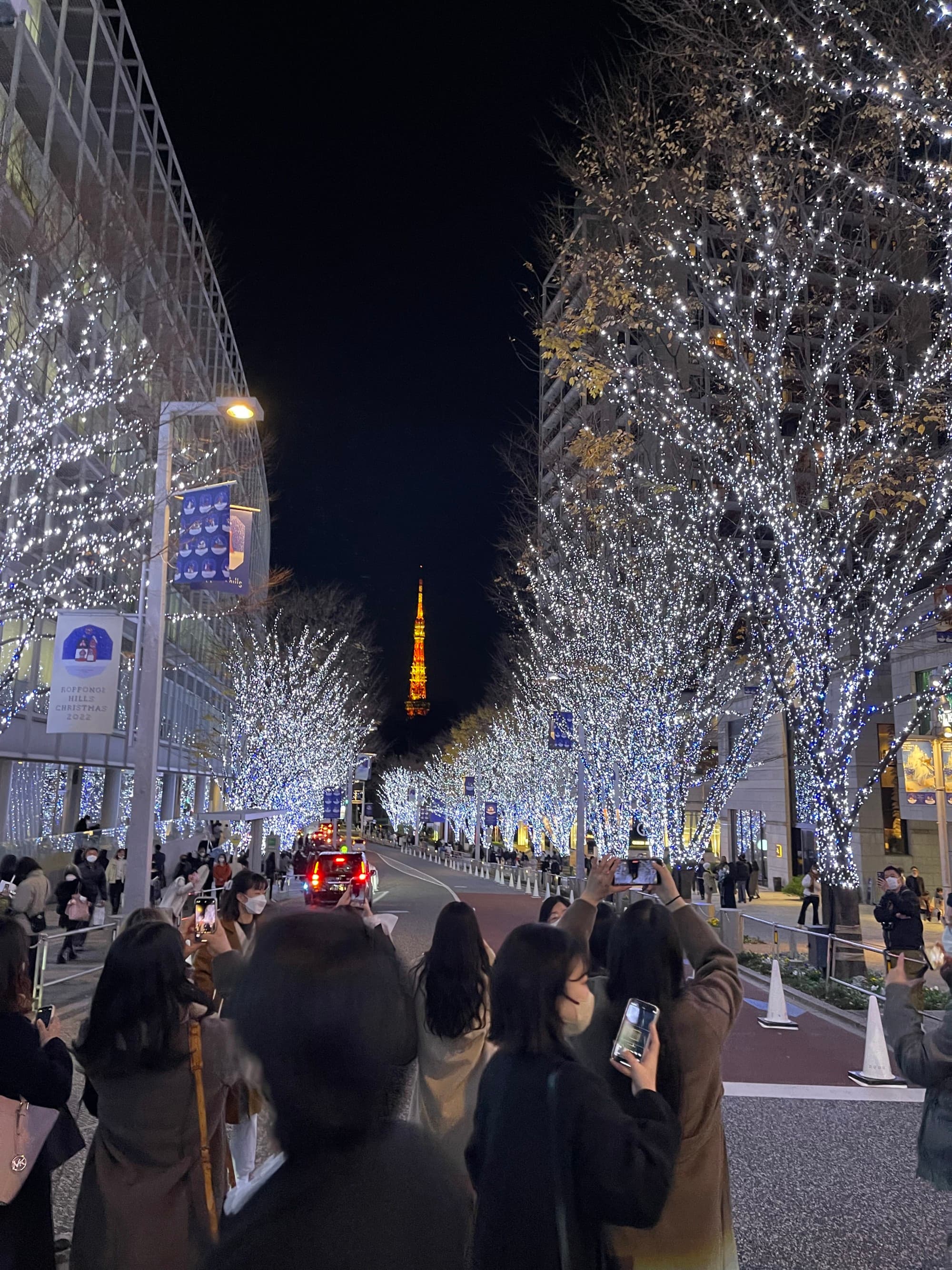 Christmas decorations in a city street with lit up trees at nighttime