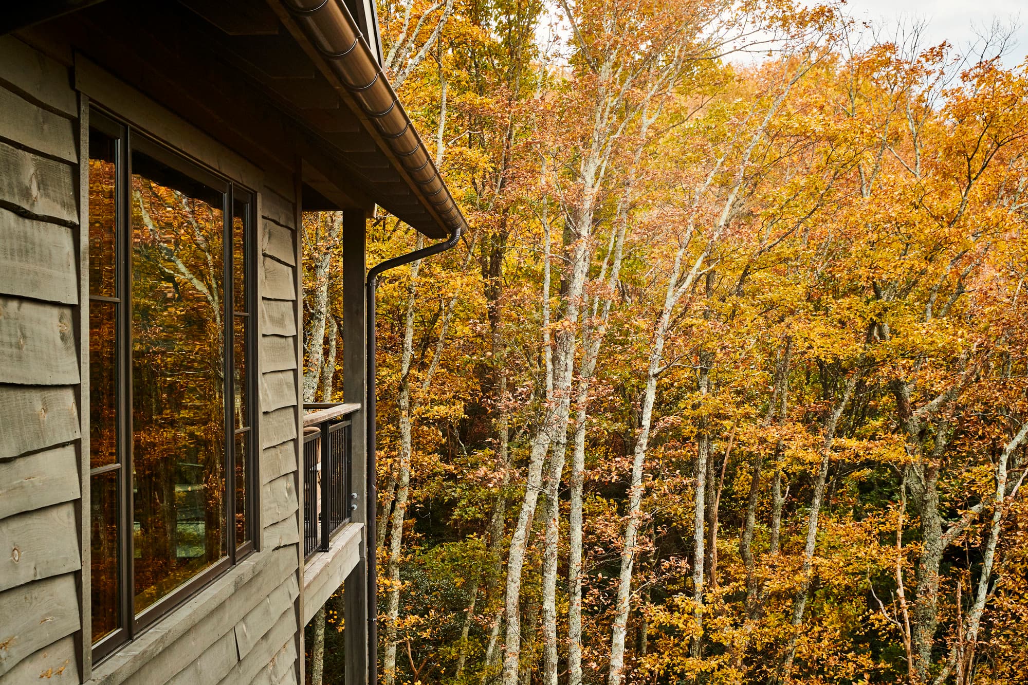a wooden house overlooks a forest of orange trees