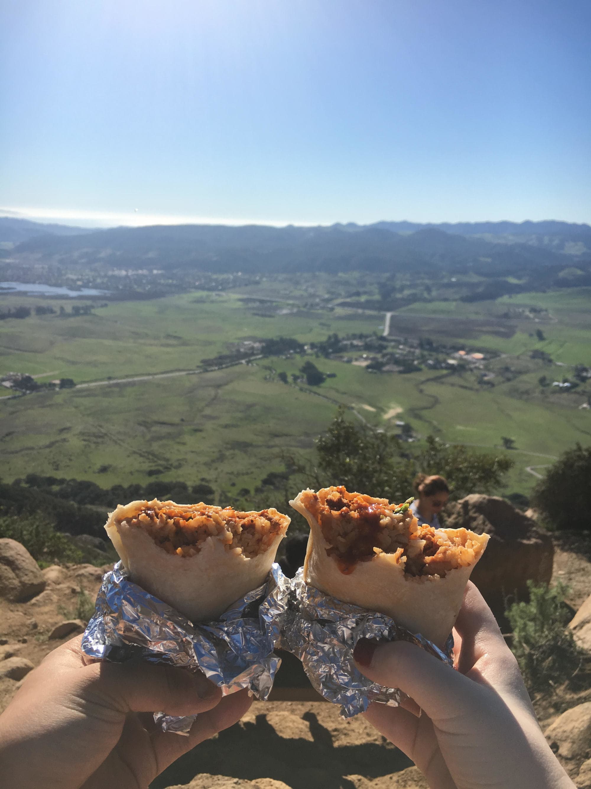 Hands holding up two burritos in front of an aerial view of green space during the daytime