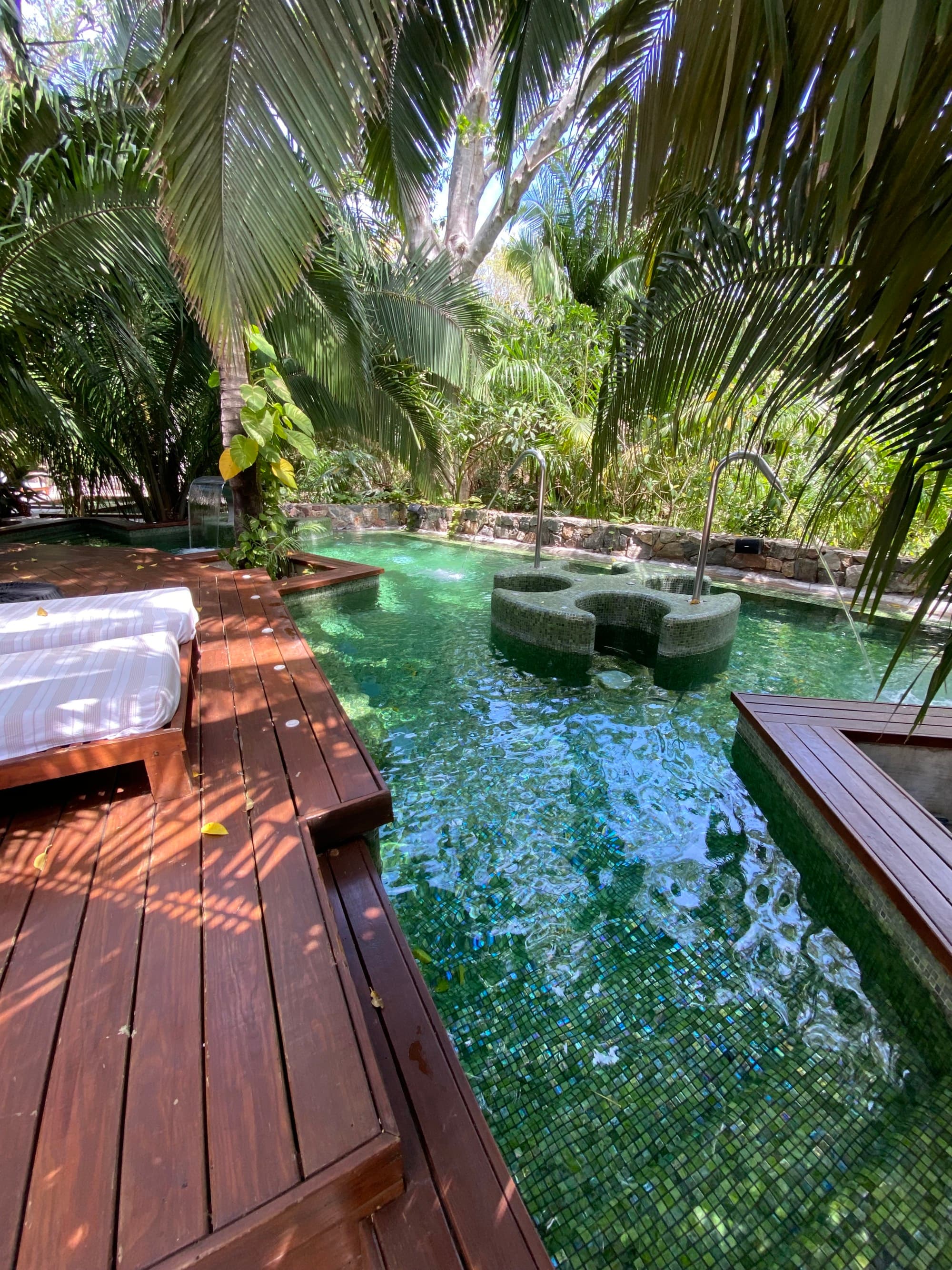 A pool area surrounded by greenery