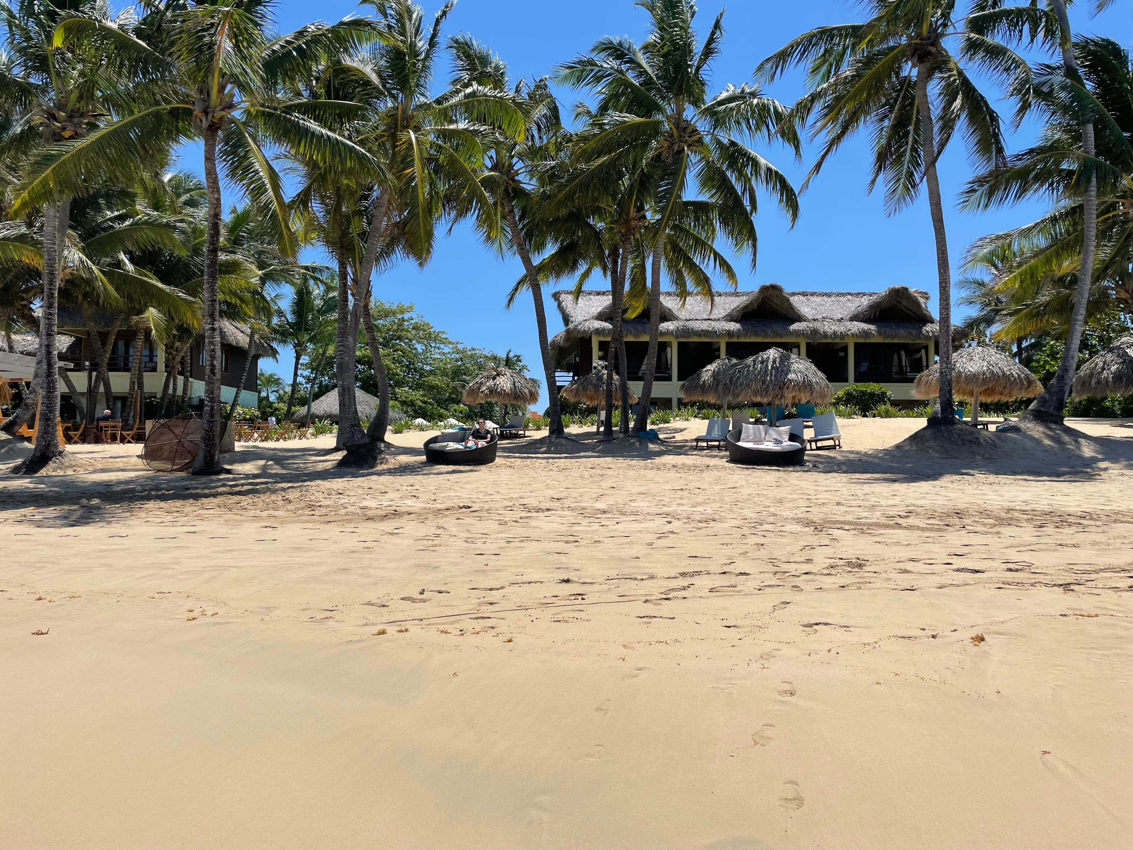 A view of a beach with sun loungers and palapa-style umbrellas, with palm trees against a blue sky and hotel buildings in the background with straw roofs.