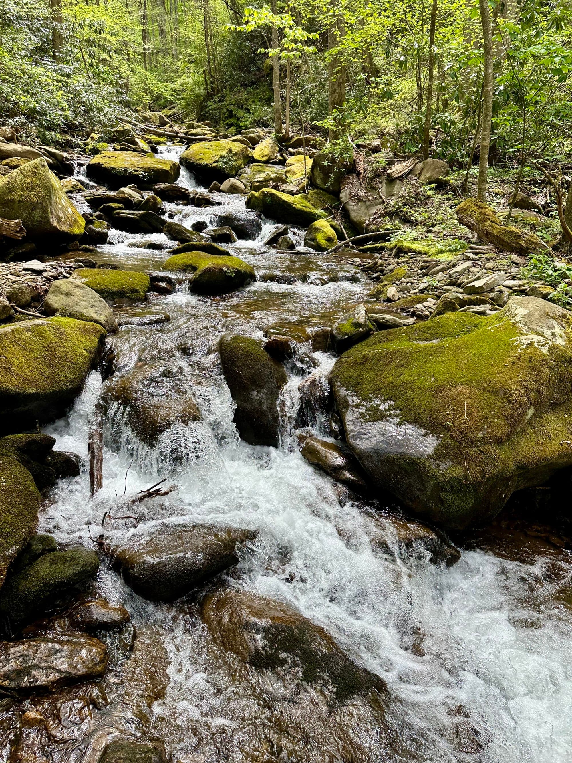 A serene shot of a river flowing over rocks, down a mild hill in the middle of a green forest.
