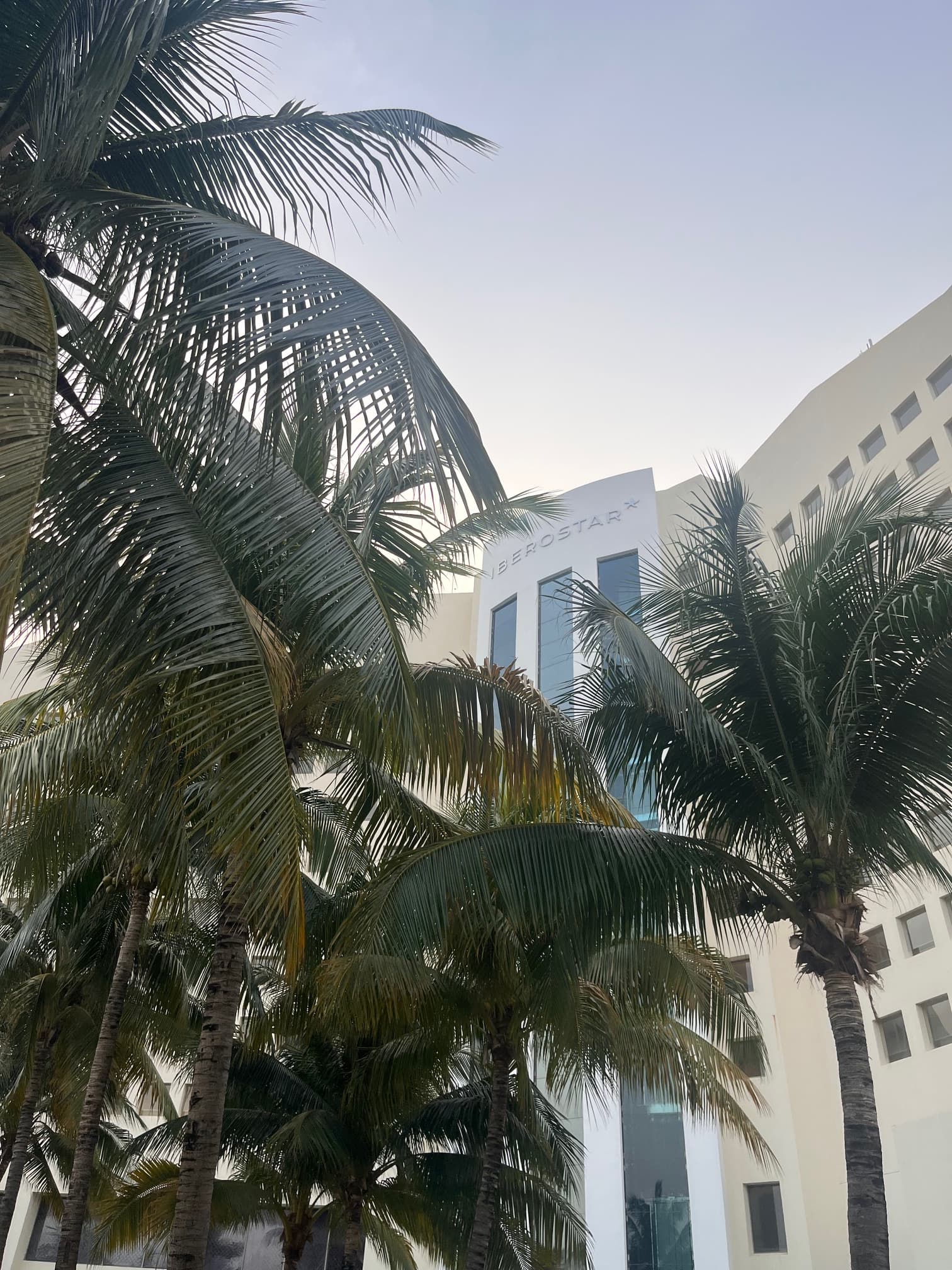 The front exterior of the Iberostar hotel, with lush palm trees in front of it.
