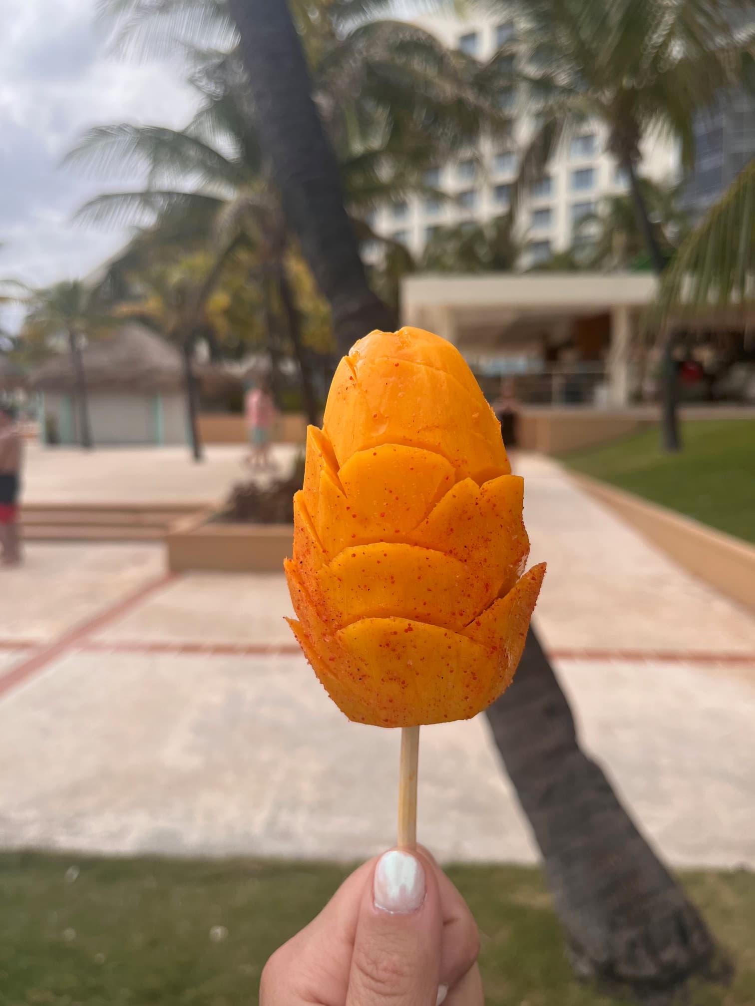 A freshly carved mango with extra flavorful toppings on a stick.