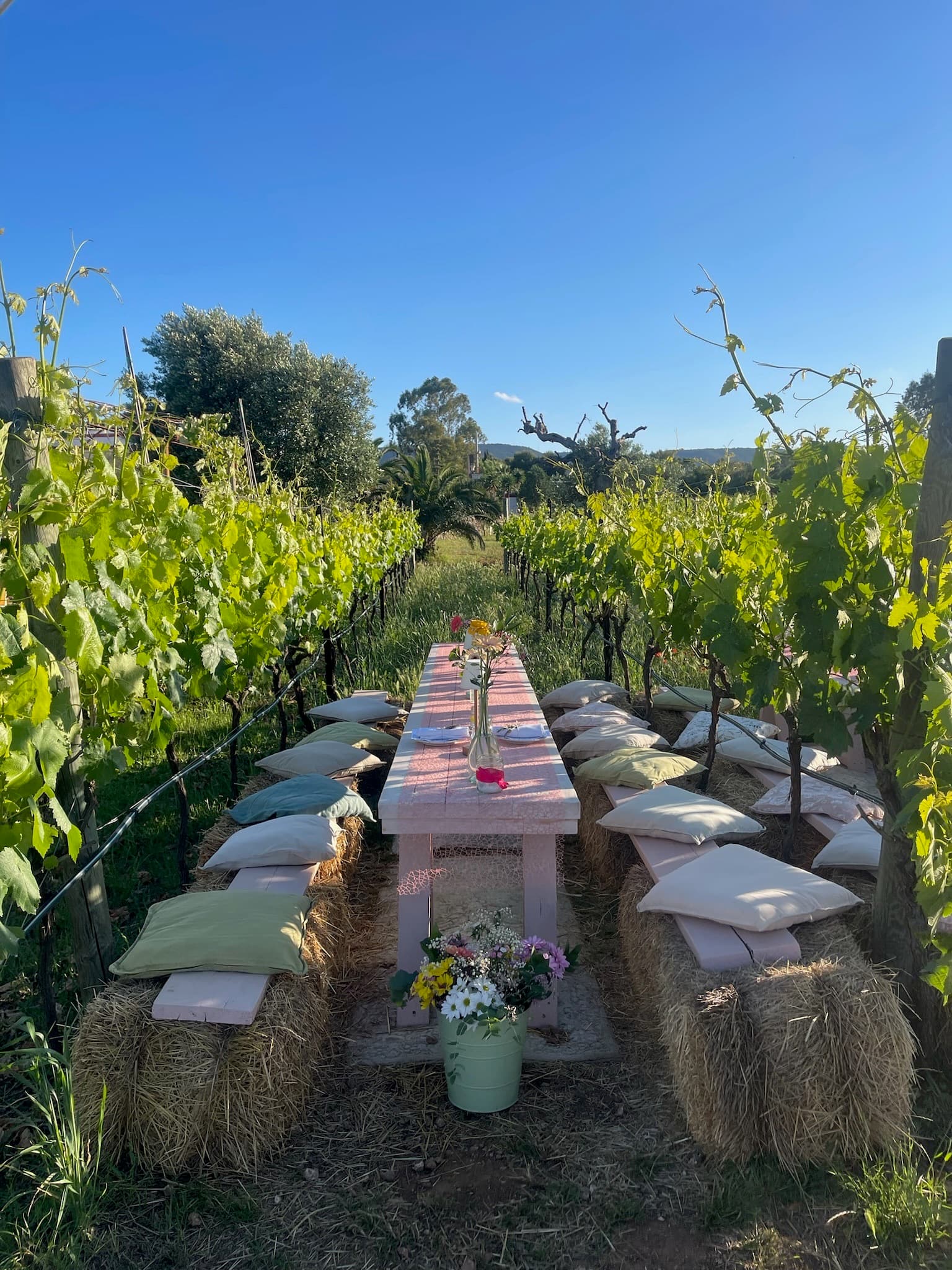 Bundles of hay acting as benches and topped with cushions, with a table set for an evening apertivo amid the vineyards.