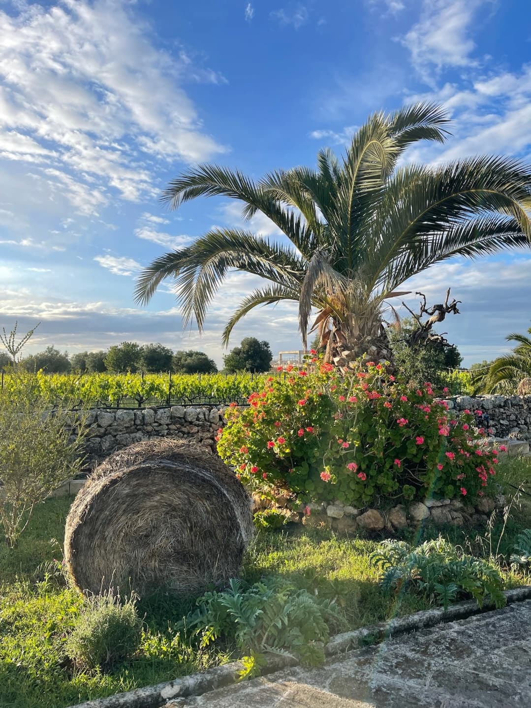 A barrel of hay, pink flowers and a large palm tree in a grassy field underneath a blue sky.