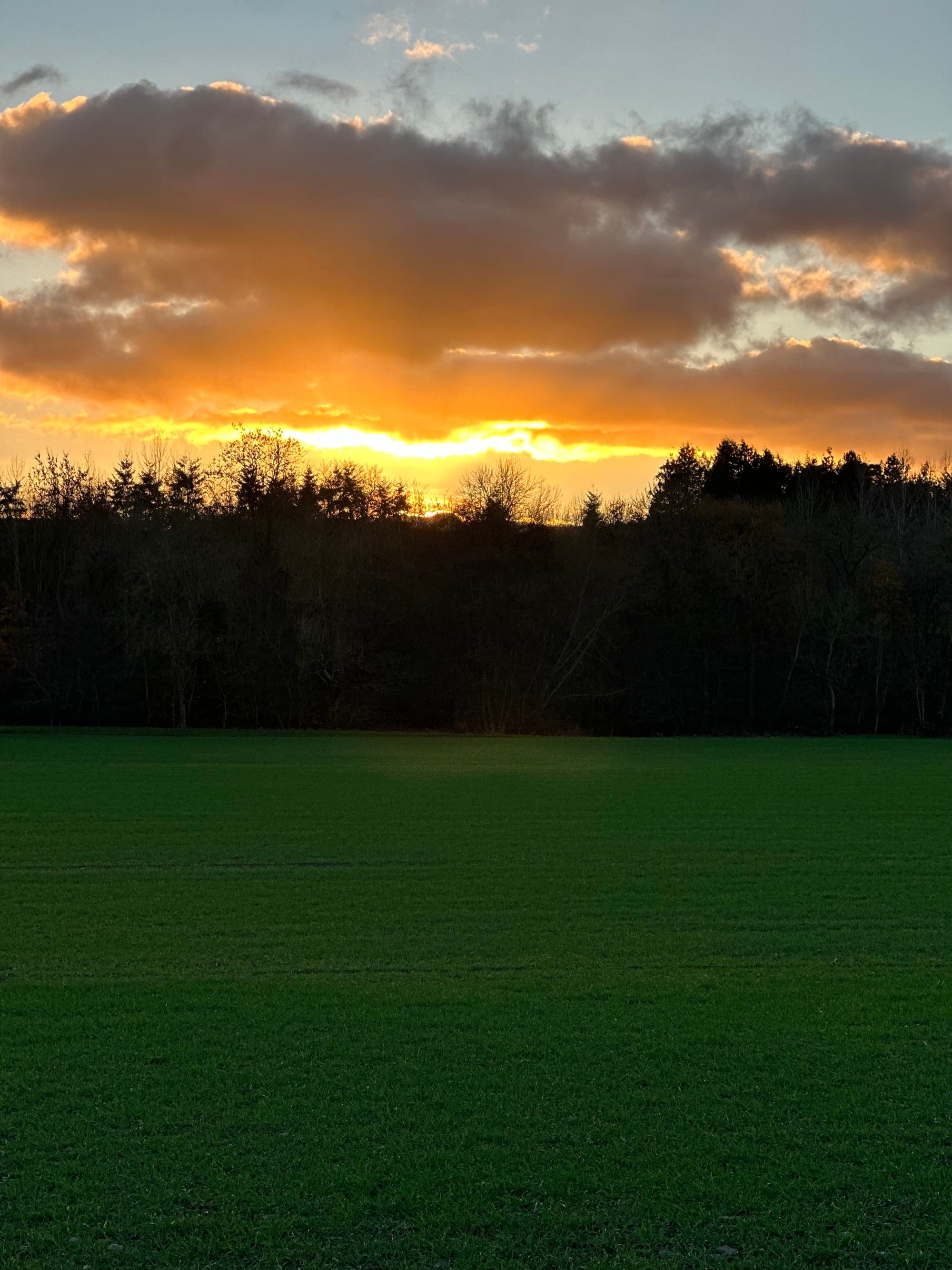Skyline view with sunset and clouds.