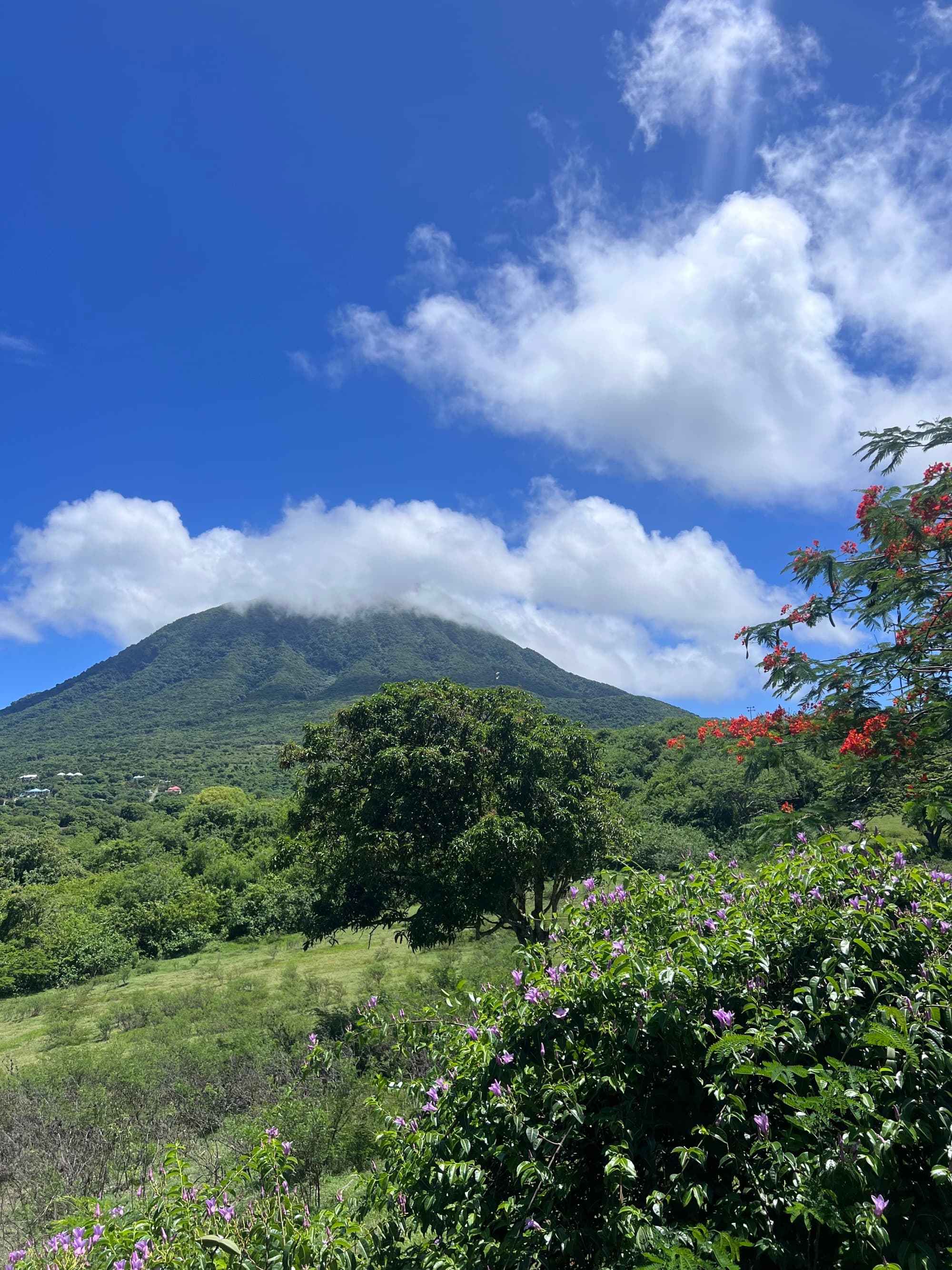 a green mountain landscape on a sunny day