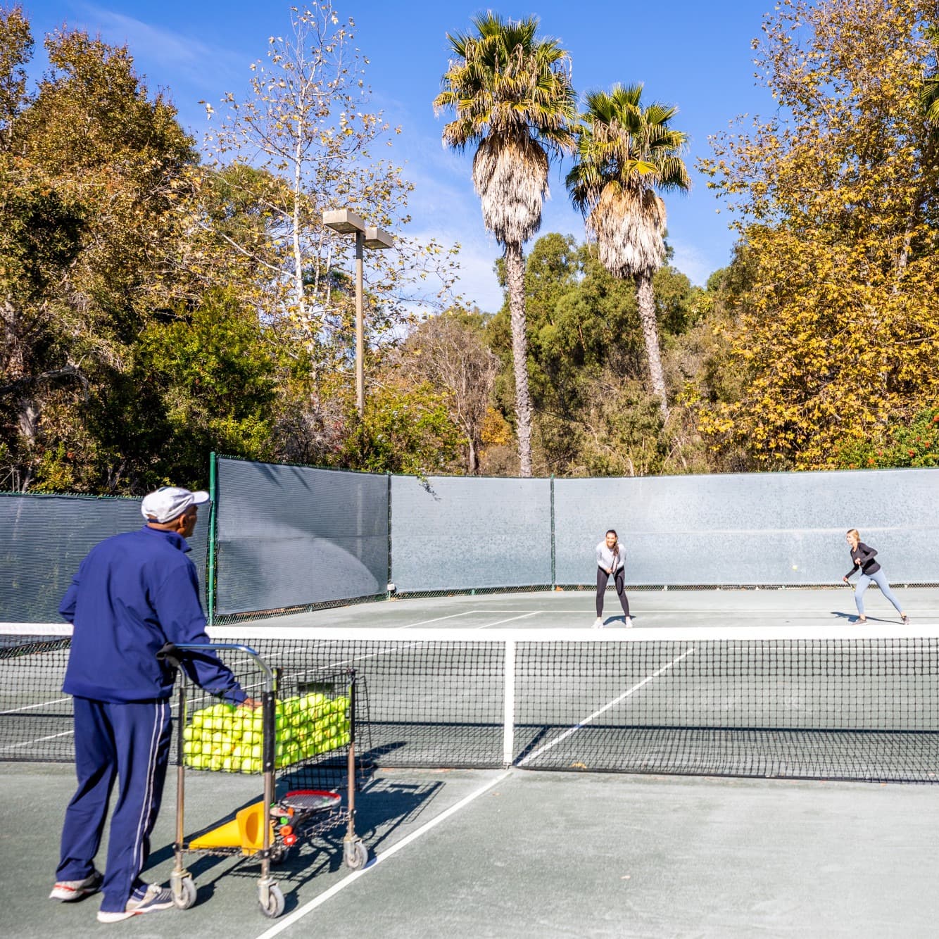 people playing tennis on an outdoor gray court surrounded my palm trees.