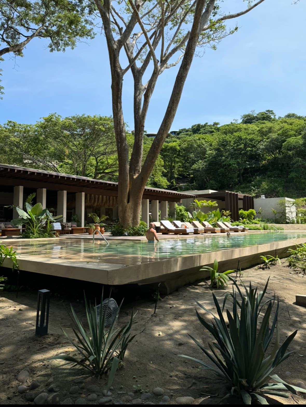 A view of Andaz Beach Club with a large pool under the shade of a tree on a sunny day.