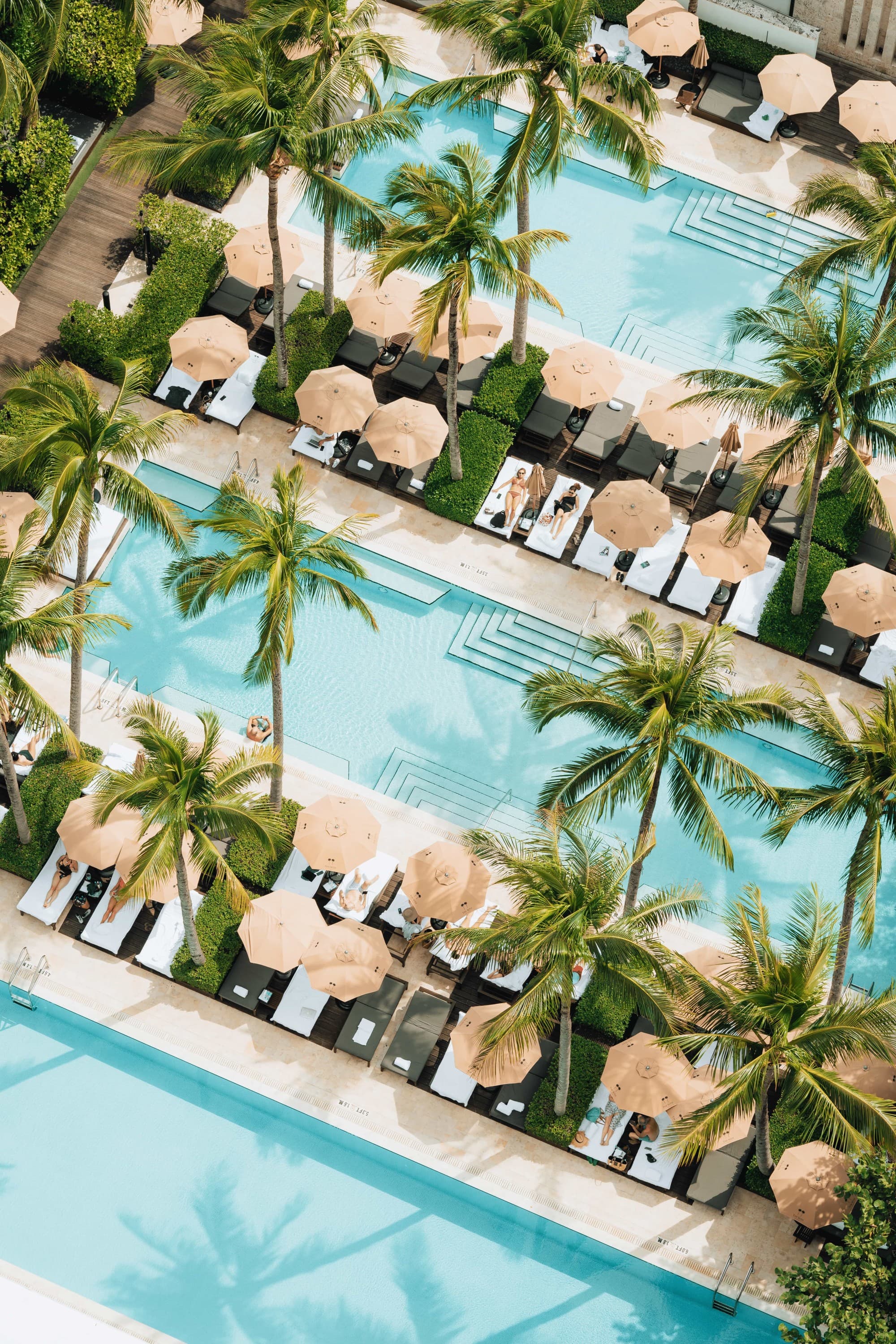 aerial view of rectangular swimming pools surrounded by white umbrellas and palm trees