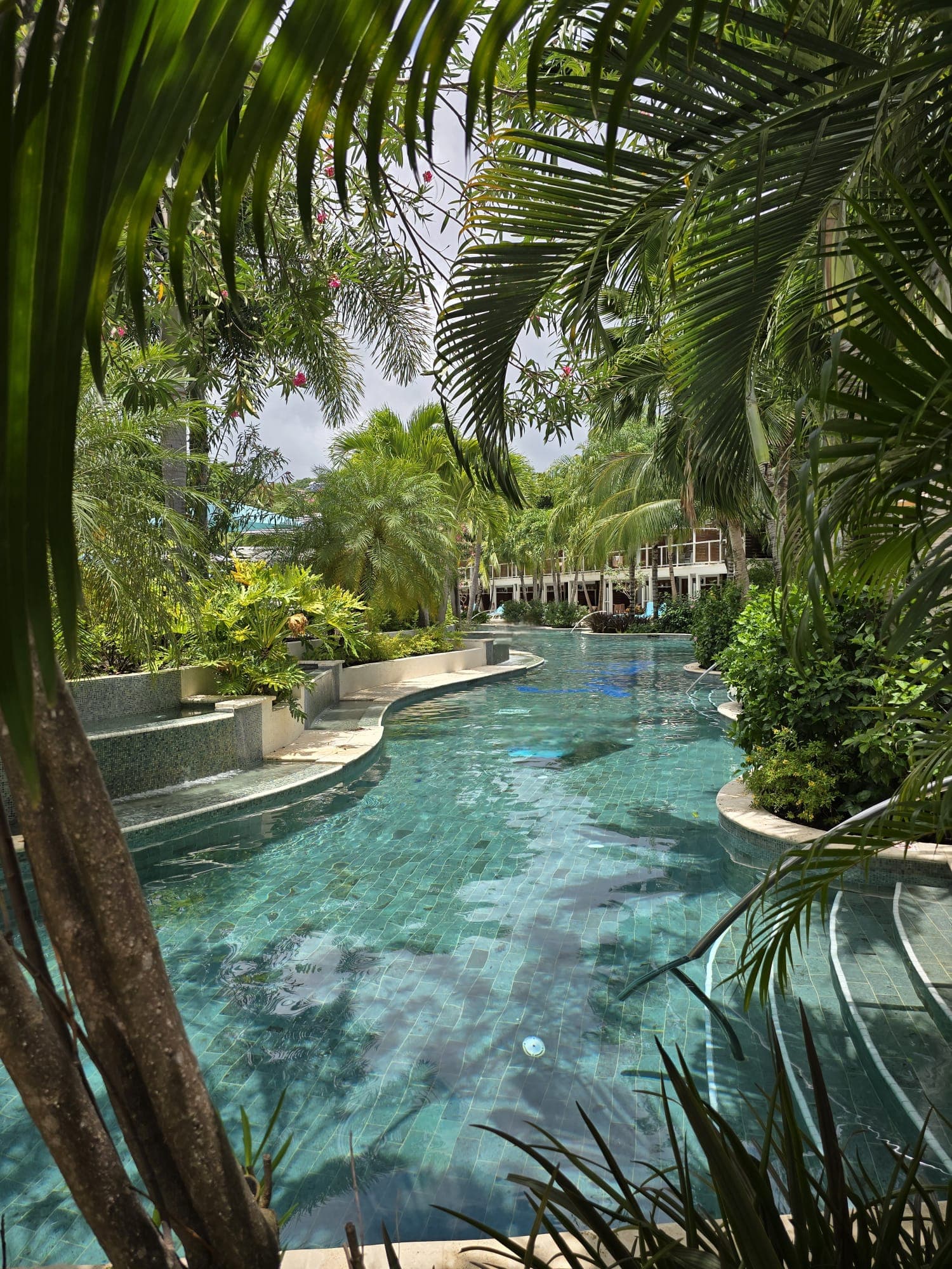 An outdoor swimming pool surrounded by lush greenery