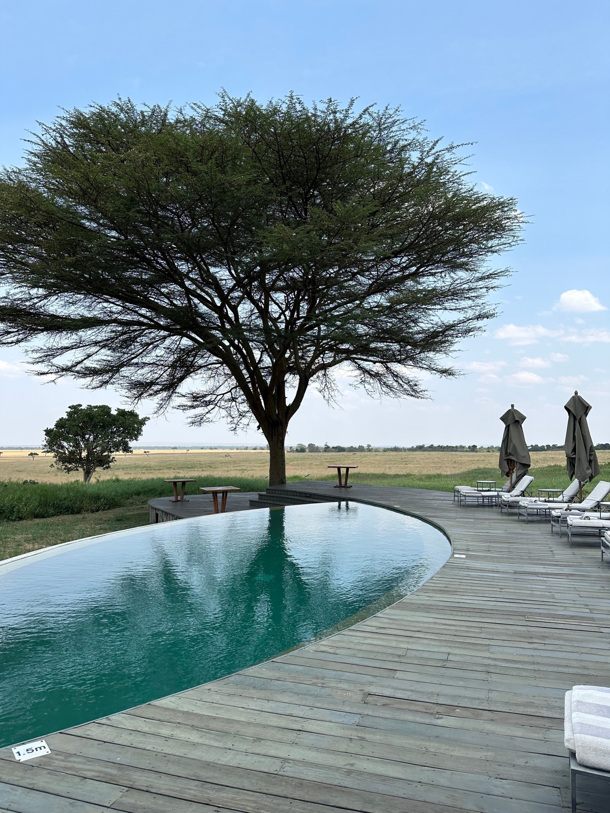 an oval pool on a wooden deck overlooking African plains