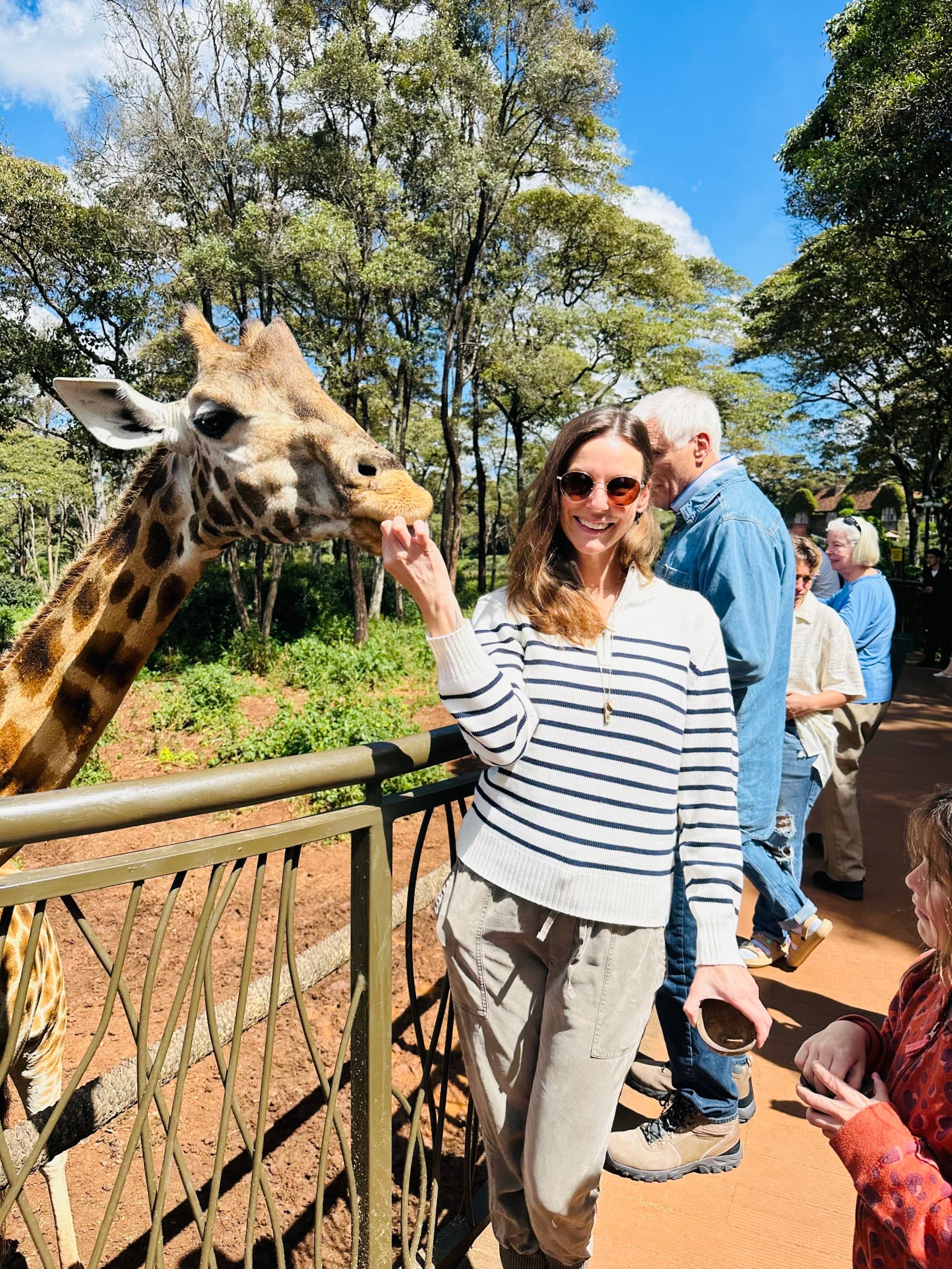 a woman feeds a giraffe on a sunny day