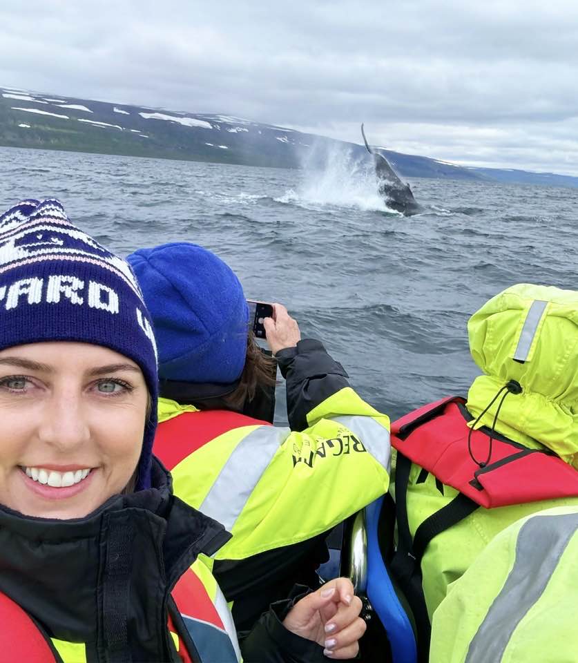 People in a boat in the sea with a whale in the background