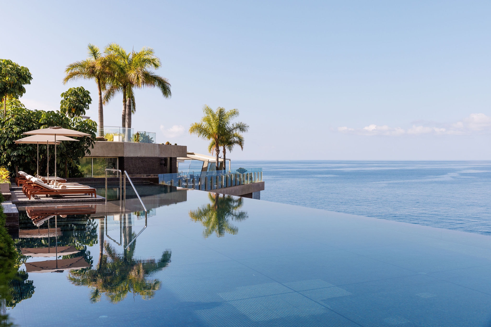 A view of a serene infinity pool overlooking the ocean with sme palm trees and sun loungers to one side.