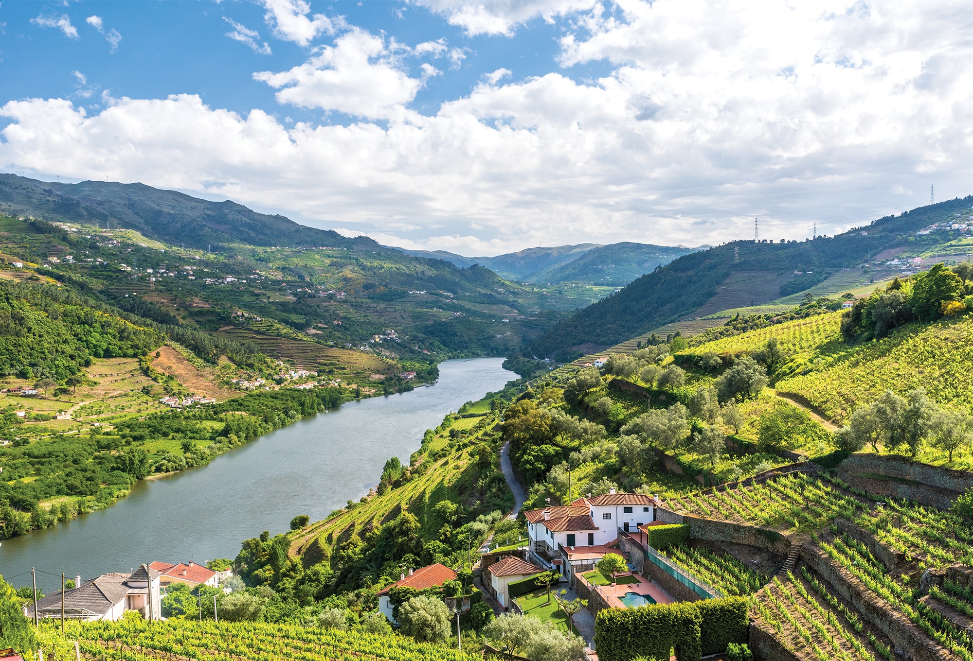 aerial view of a lush river valley