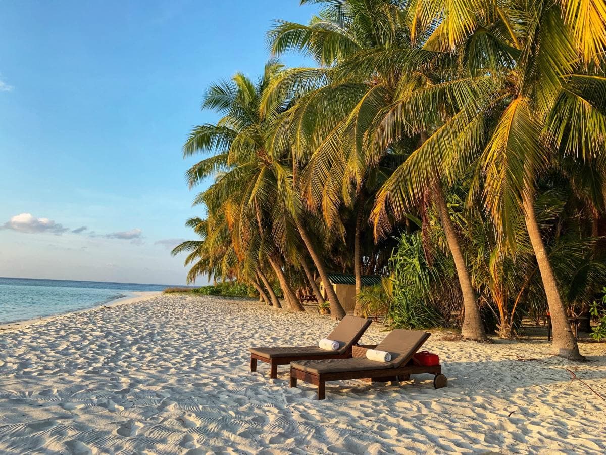 Two lounge chairs on white sand surrounded by palm trees next to the ocean with a blue sky