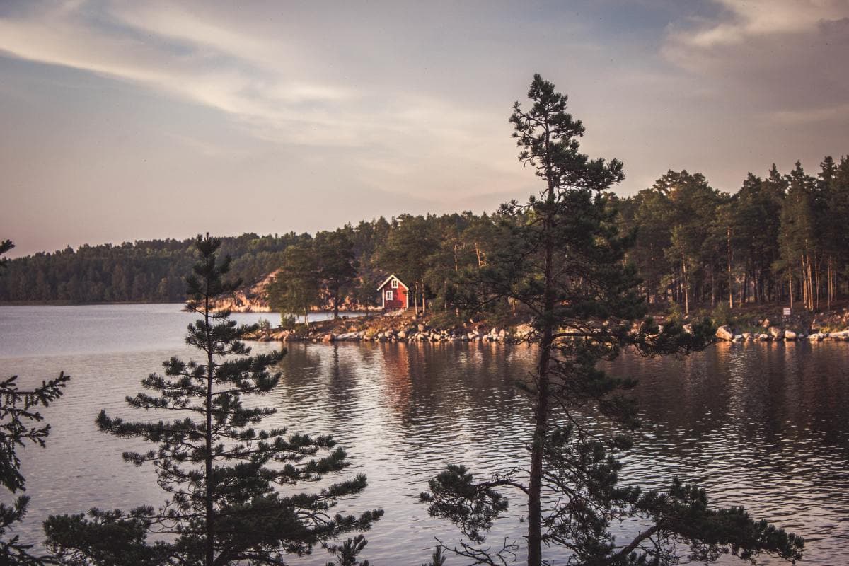 Serene lake surrounded by forest of pine trees in Sweden.