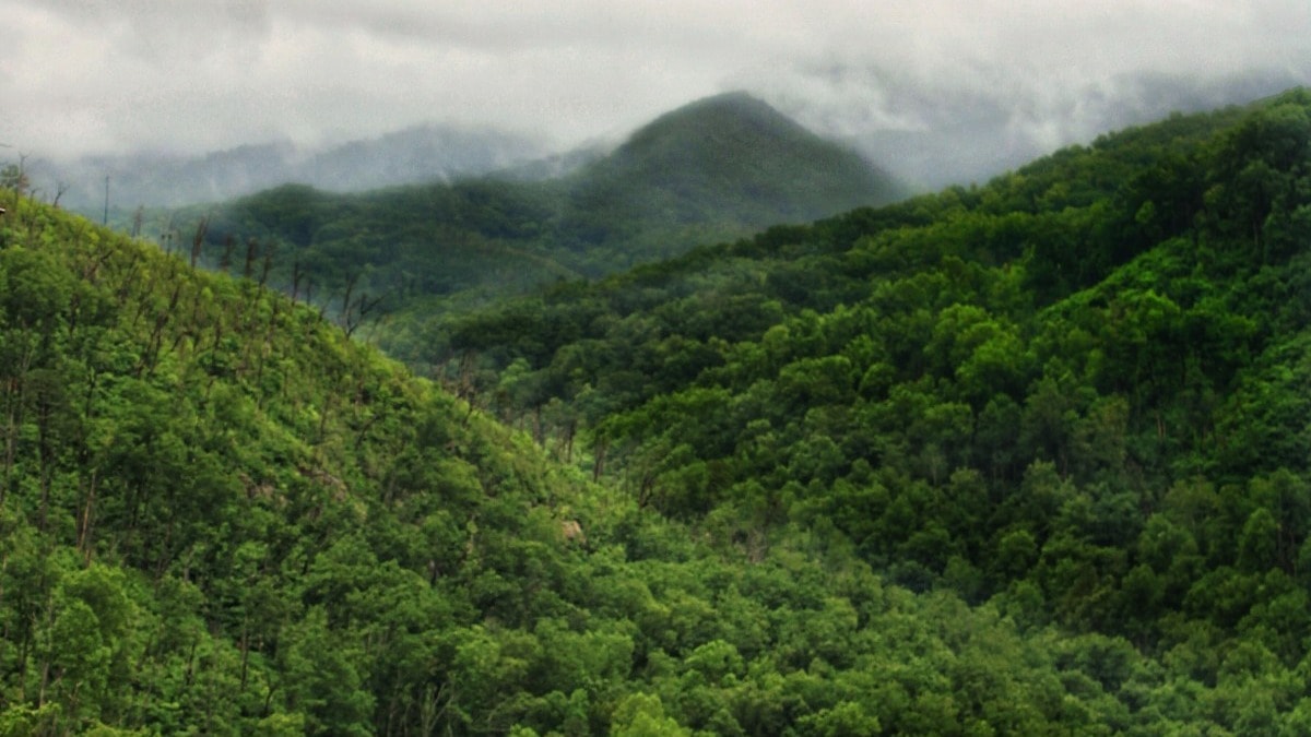 Brown wooden fence near green mountain under white sky