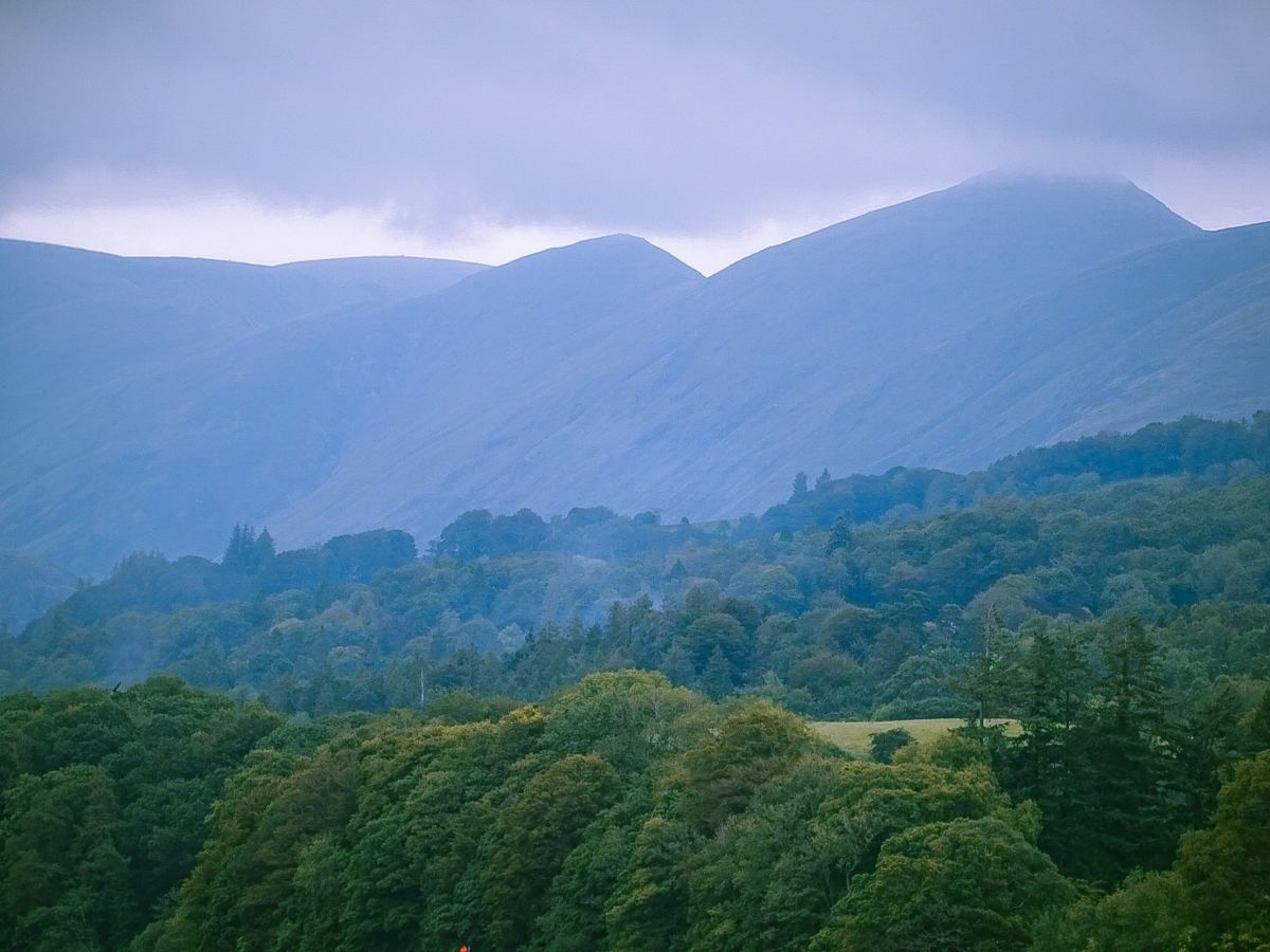 a view of mountains and trees