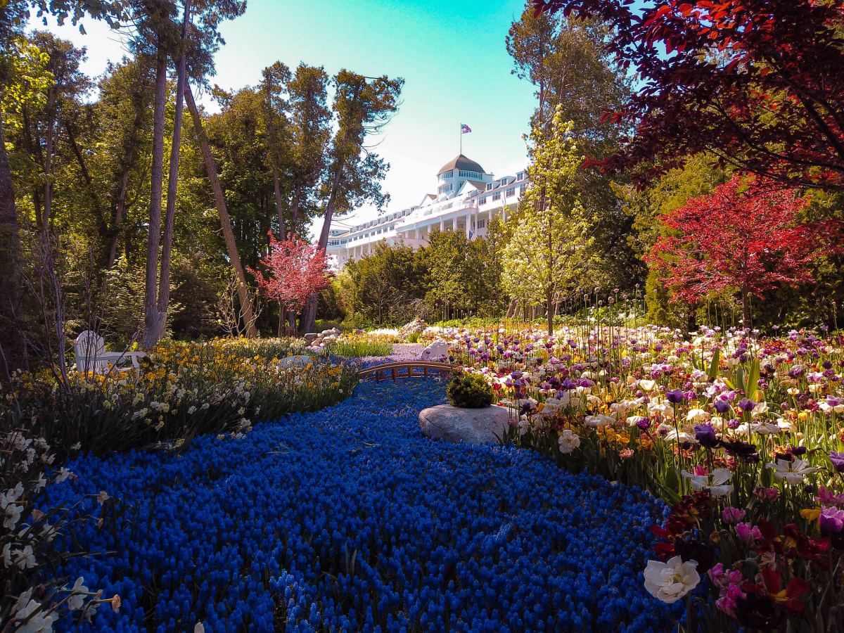 a view of a white building surrounded by trees and flowers