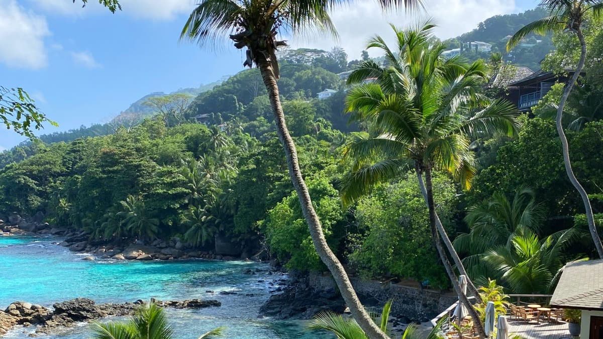 Green trees beside a blue body of water with mountains in the background.