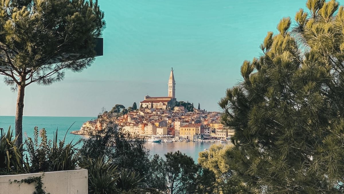 Green trees around a walking bath near a body of water.