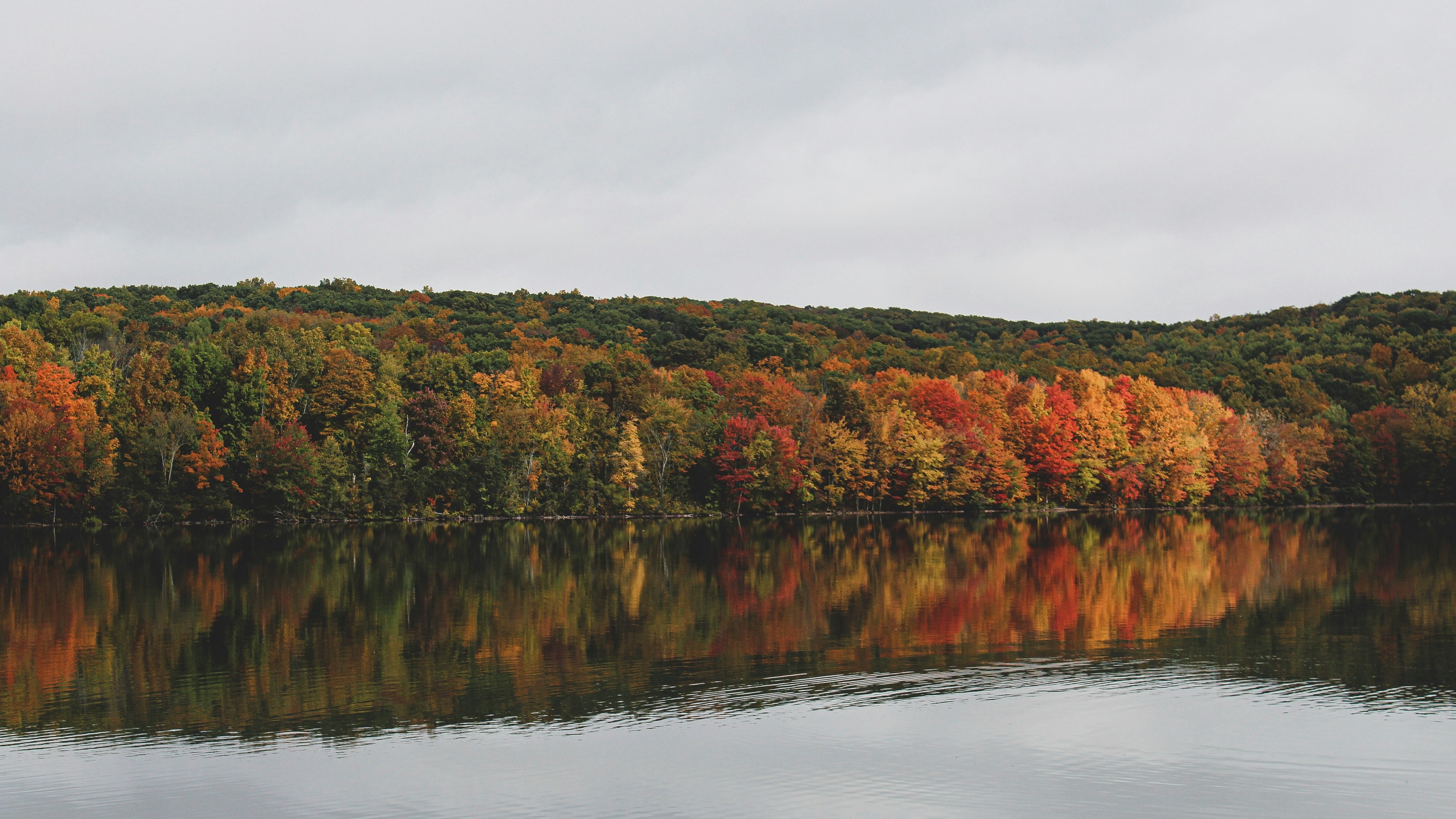 Orange and green fall foliage along a body of water in Connecticut.