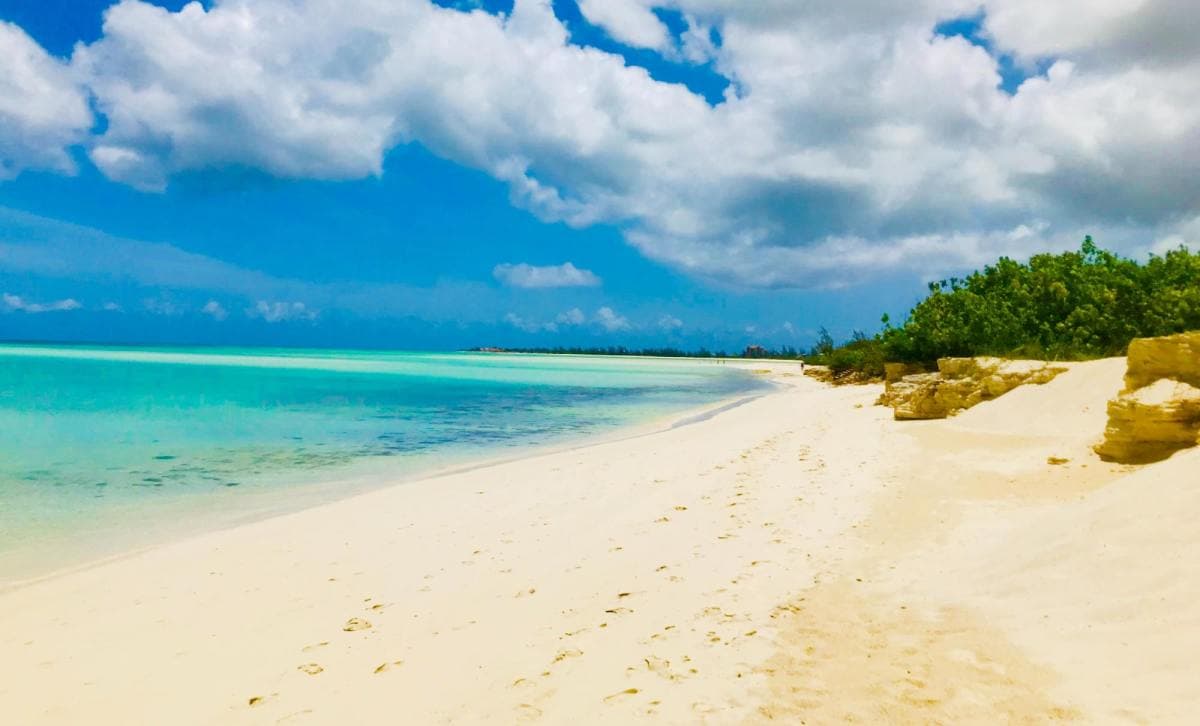 Sandy beach with clear turquoise waters in Turks and Caicos.