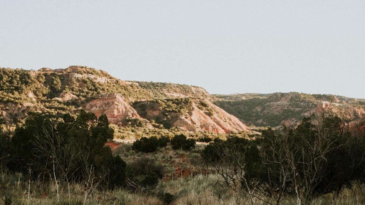 Grassy desert plains and rugged rocks in Texas.