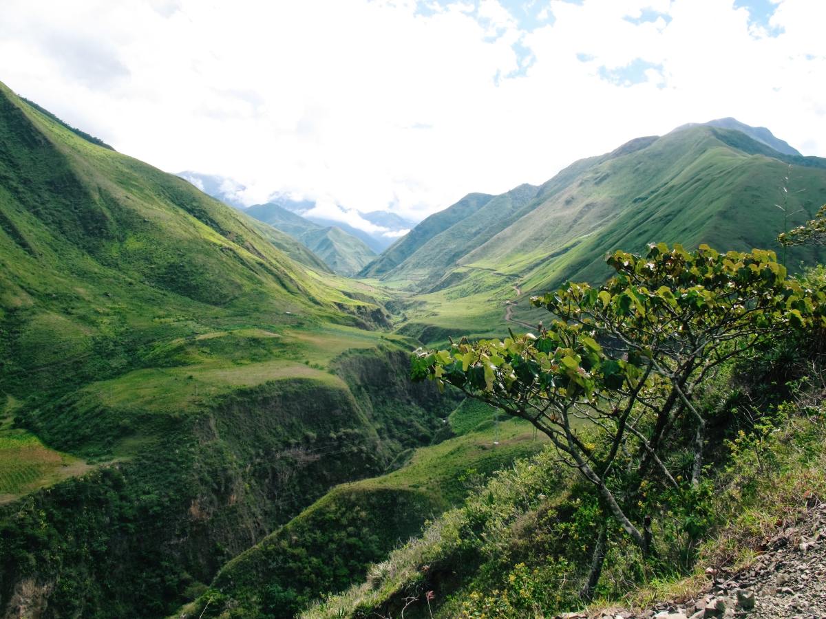 Green valleys and mountains in Ecuador.