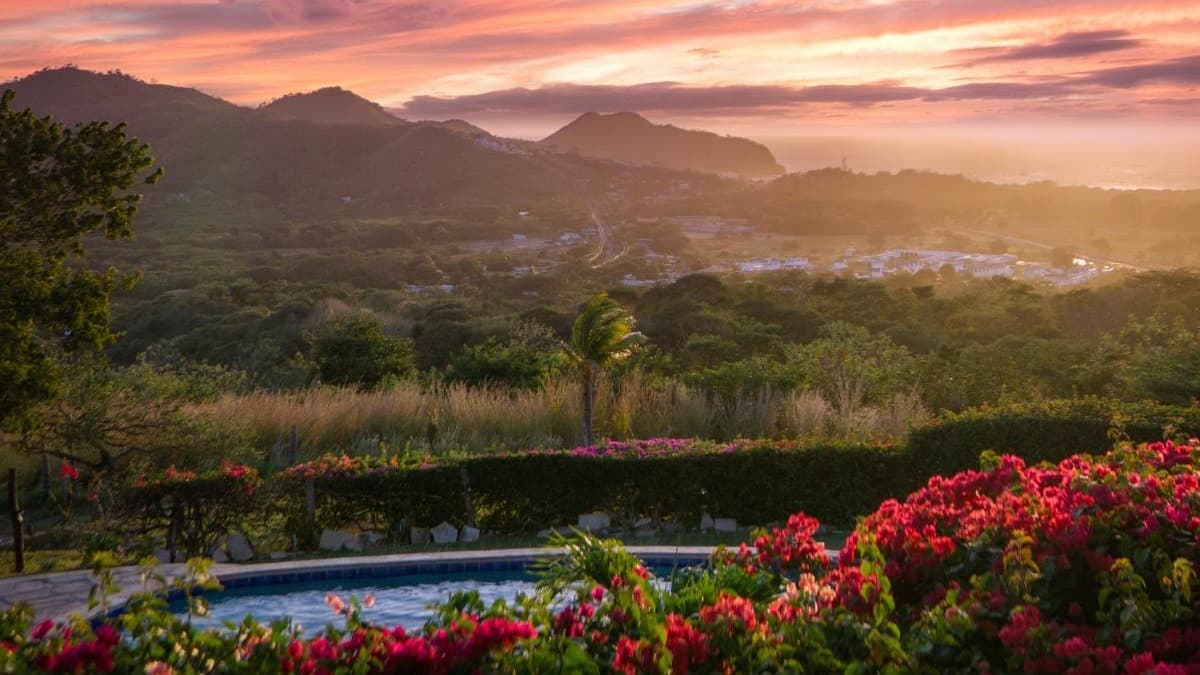 View of mountains and flowers during sunset