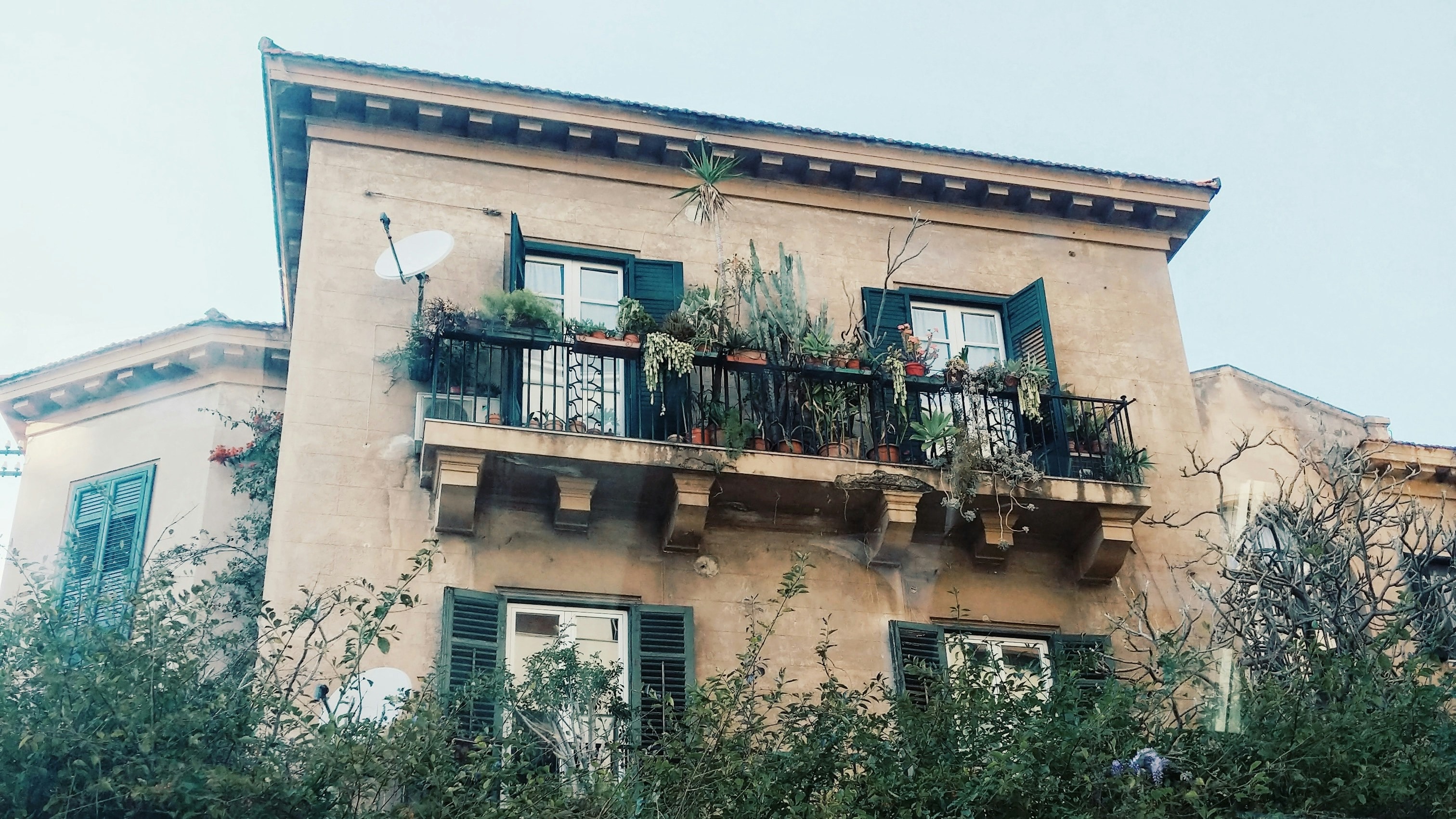 a lush hedge in front of a rustic Italian villa