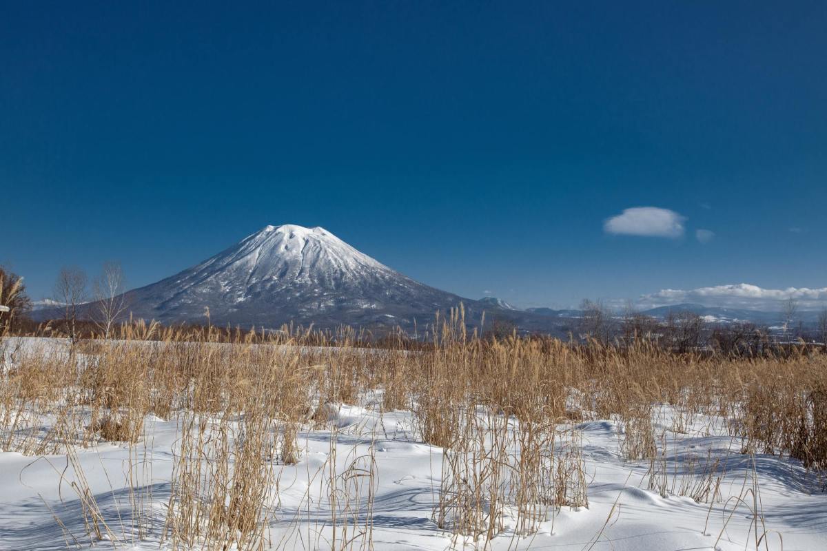 snow-covered mountain
