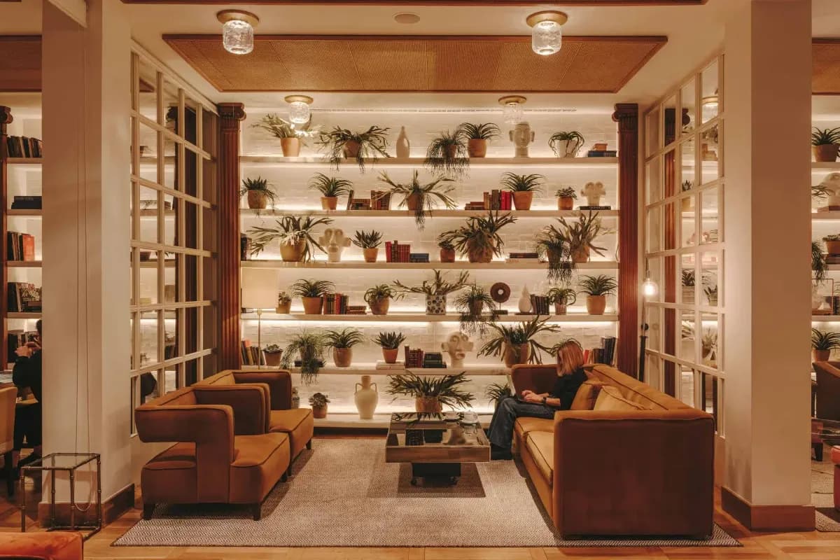 brown chairs and a couch in front of an illuminated tiered shelf filled with plants