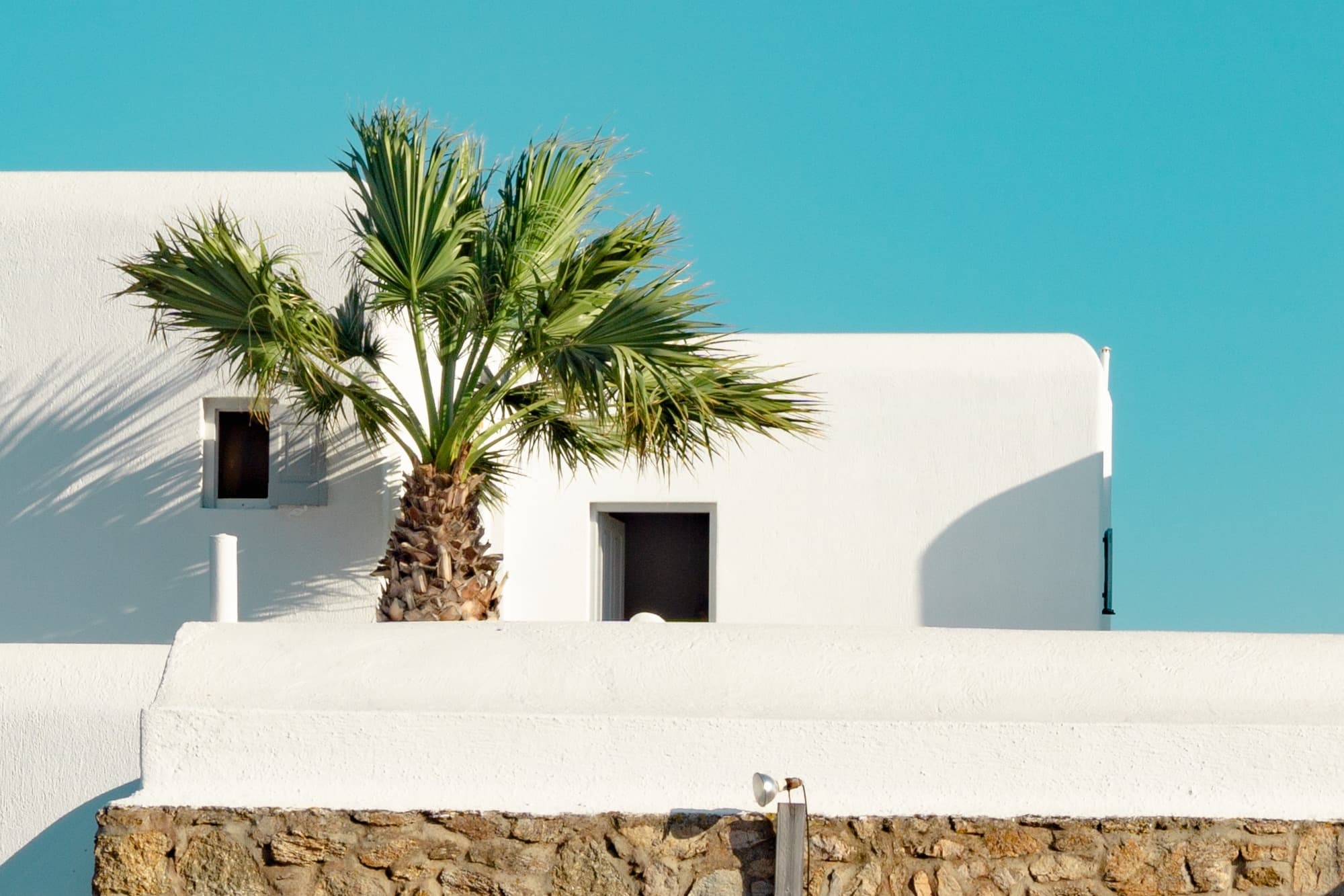 white house and a green palm tree against a blue sky