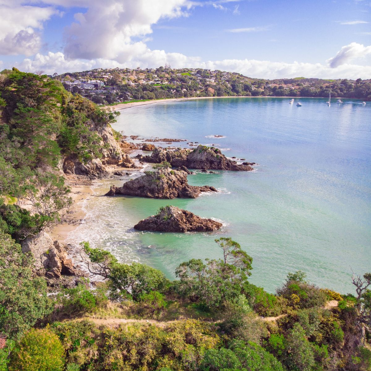 Green trees near a body of water and rock formations