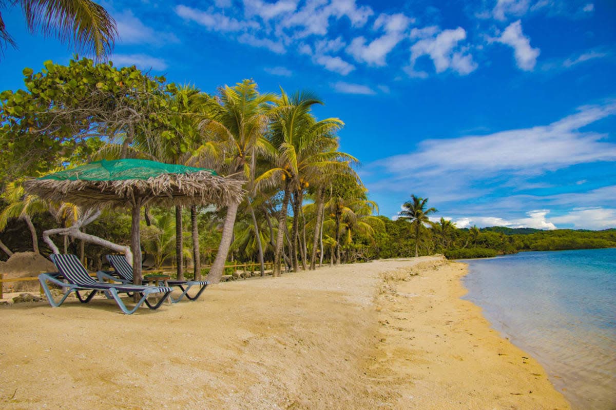 A lovely beach in Honduras with palm trees and an outdoor area for relaxing.