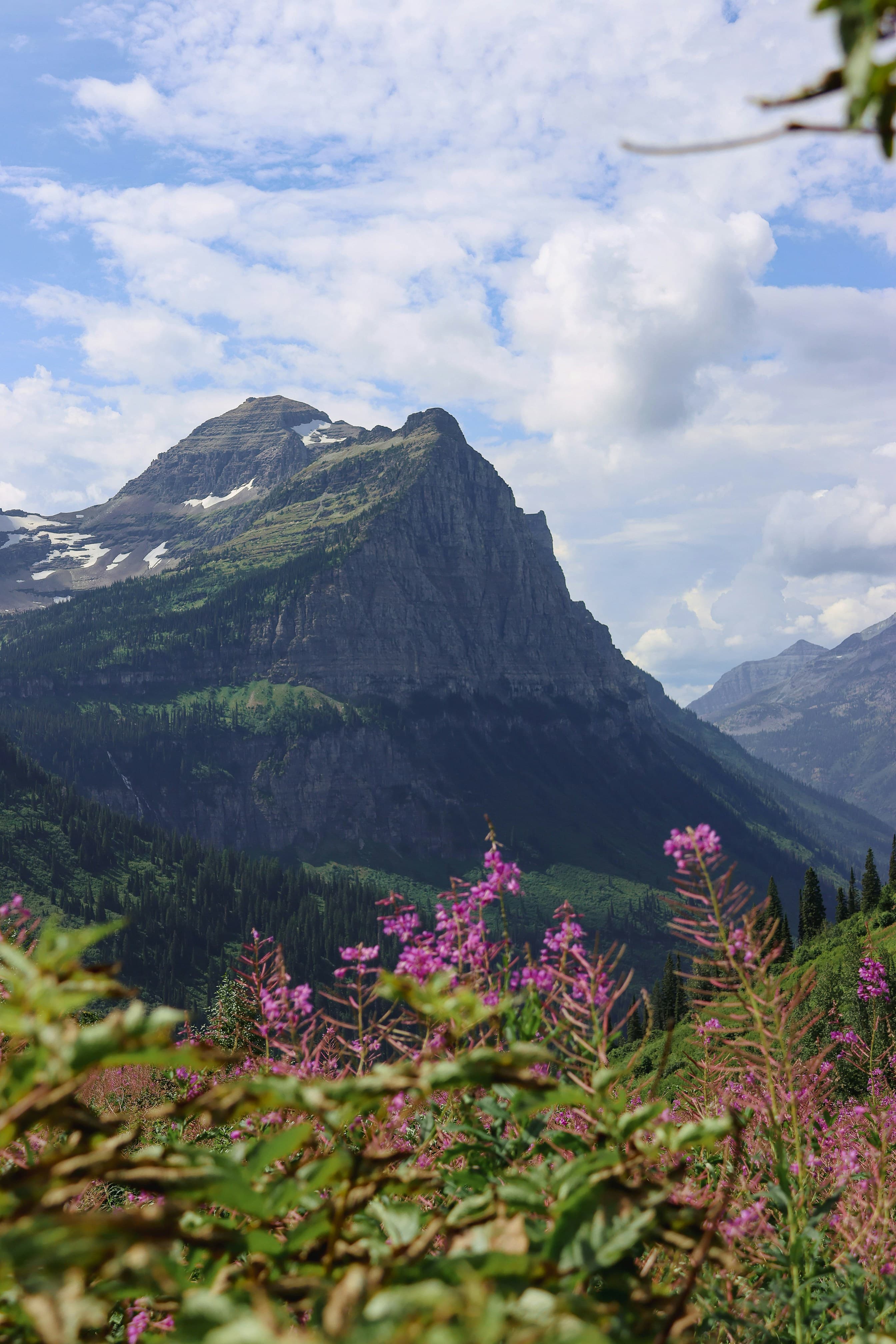 A daytime view of a mountain with purple flowers blooming in the foreground.