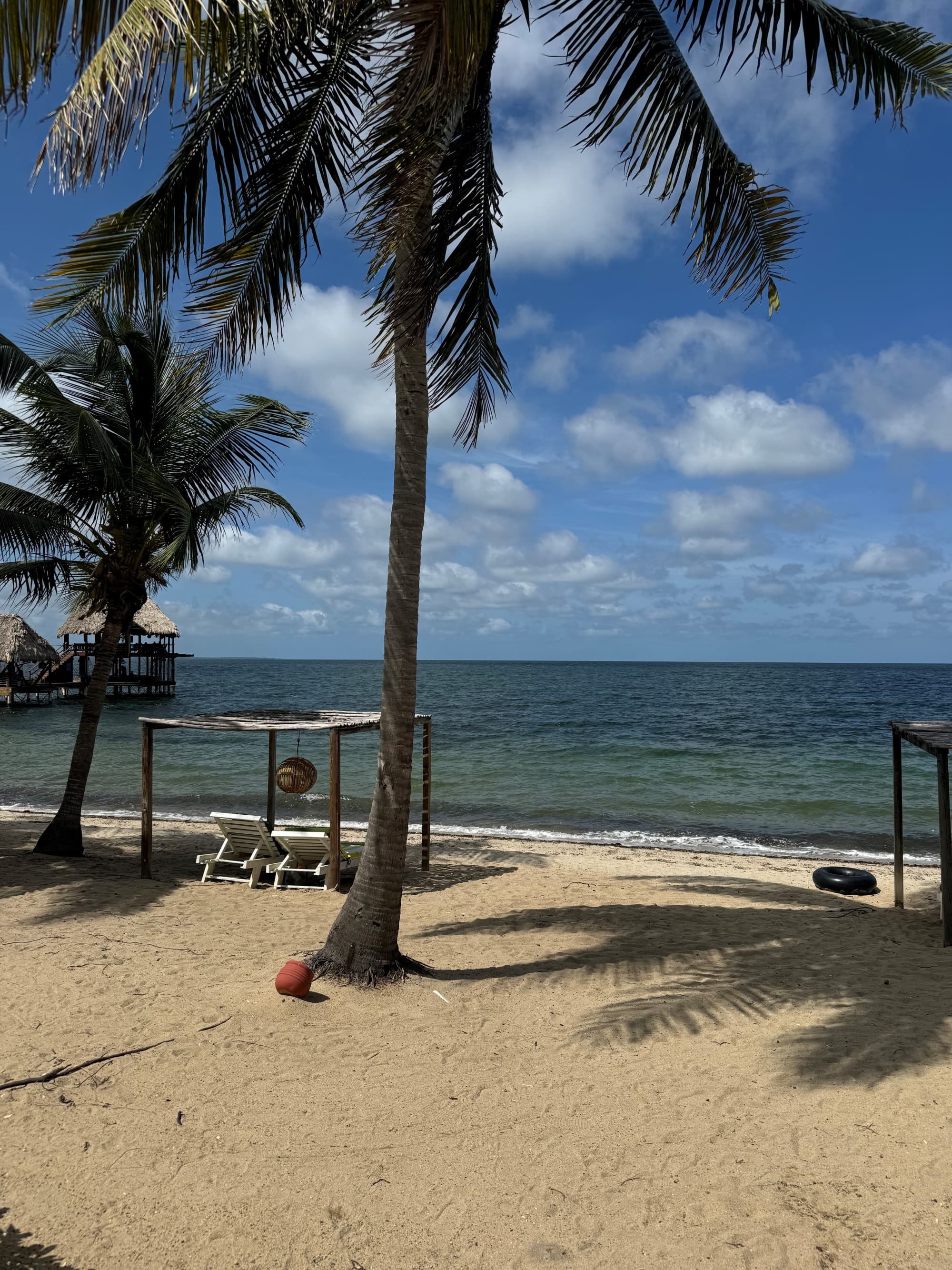 Palm trees on a beach with clouds in the background.