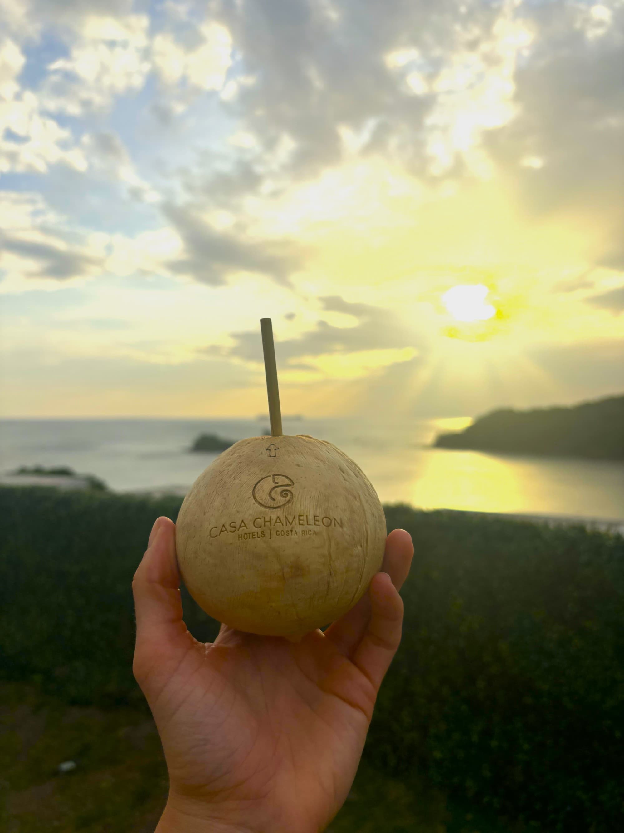 A person's hand holding a round wooden cup with a straw sticking out with the ocean and setting sun behind it.