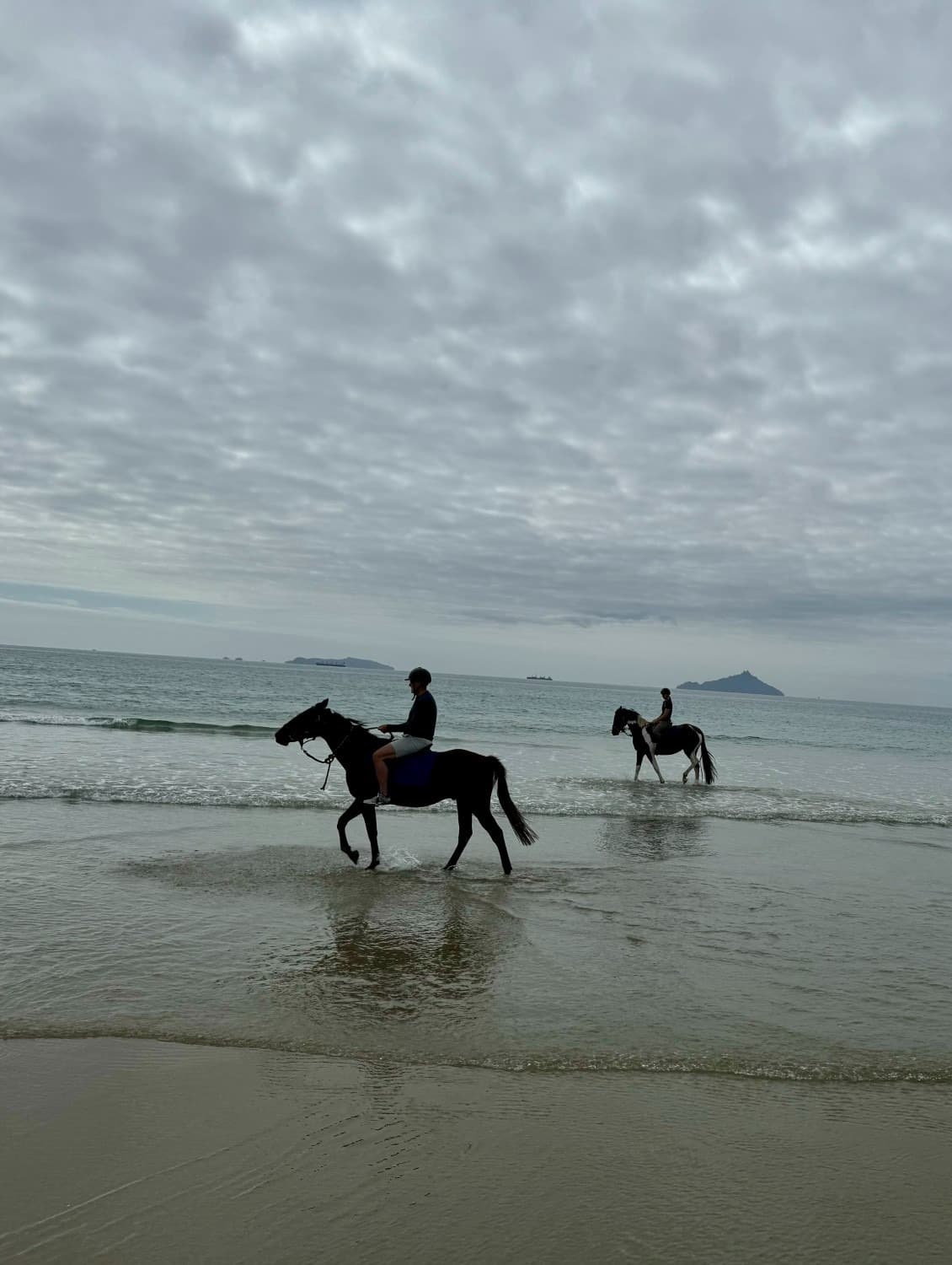 Horses riding on the beach.