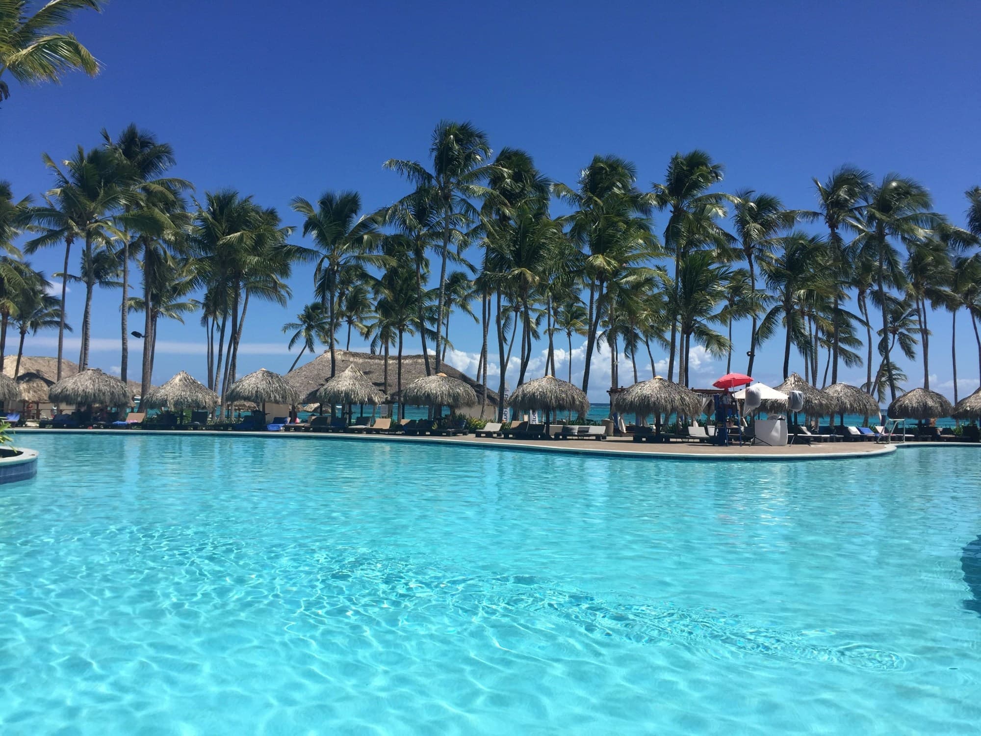A pool area surrounded by straw umbrellas and palm trees during the daytime