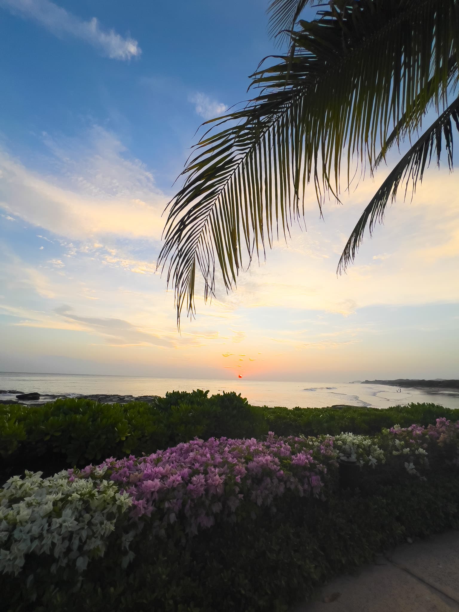 Palm tree leaves, purple and white flowers, and a setting sun over the land and sea of Rancho Santana, Nicaragua.