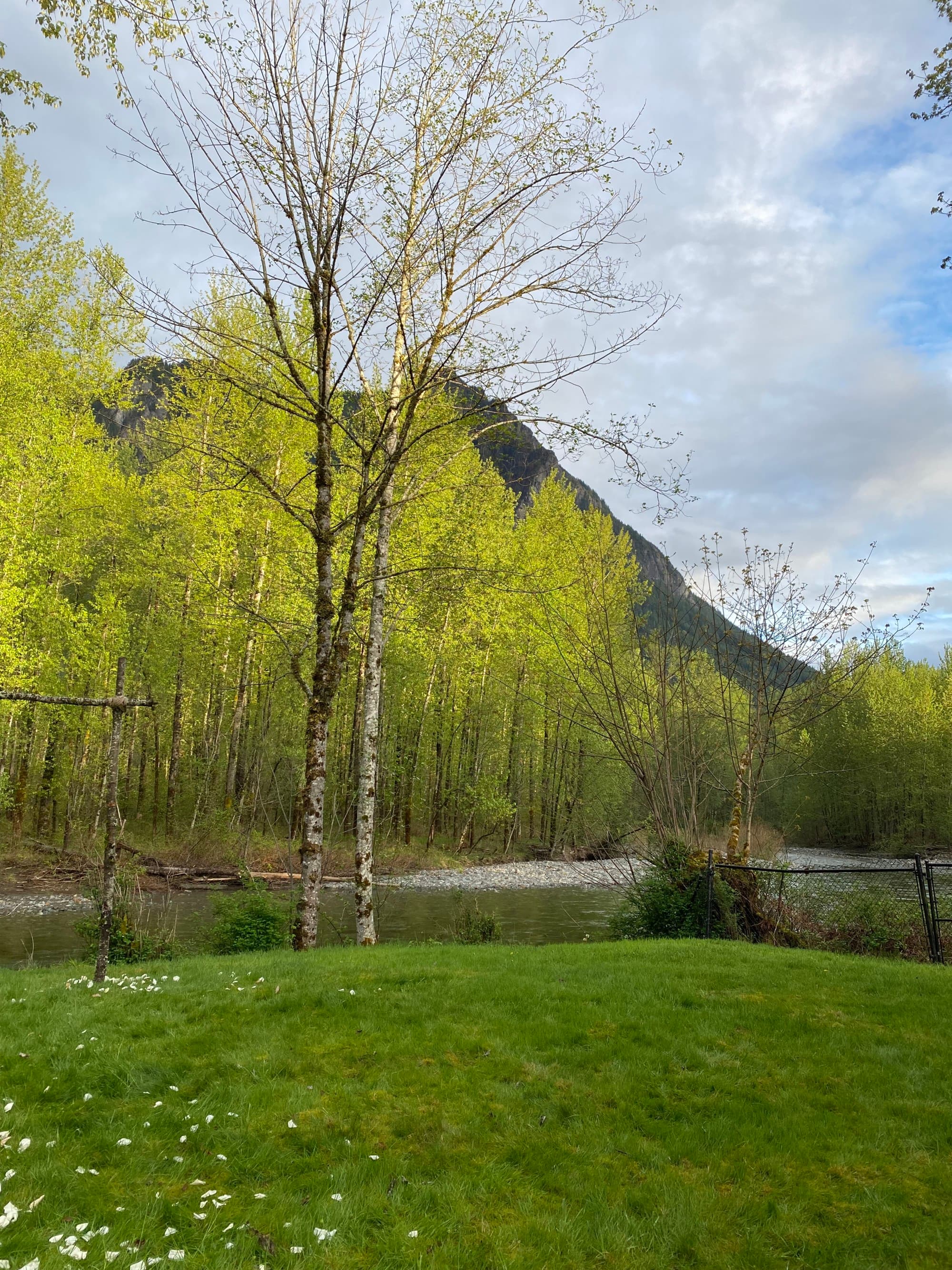 A view of a grassy lawn, trees, a river and mountains in the background.