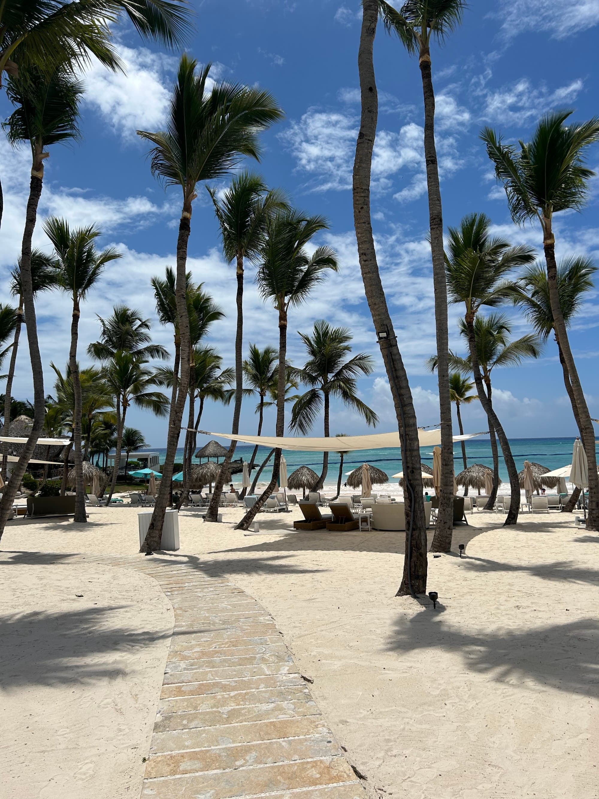 Beach club Eden Roc - Varvara Sinichkina